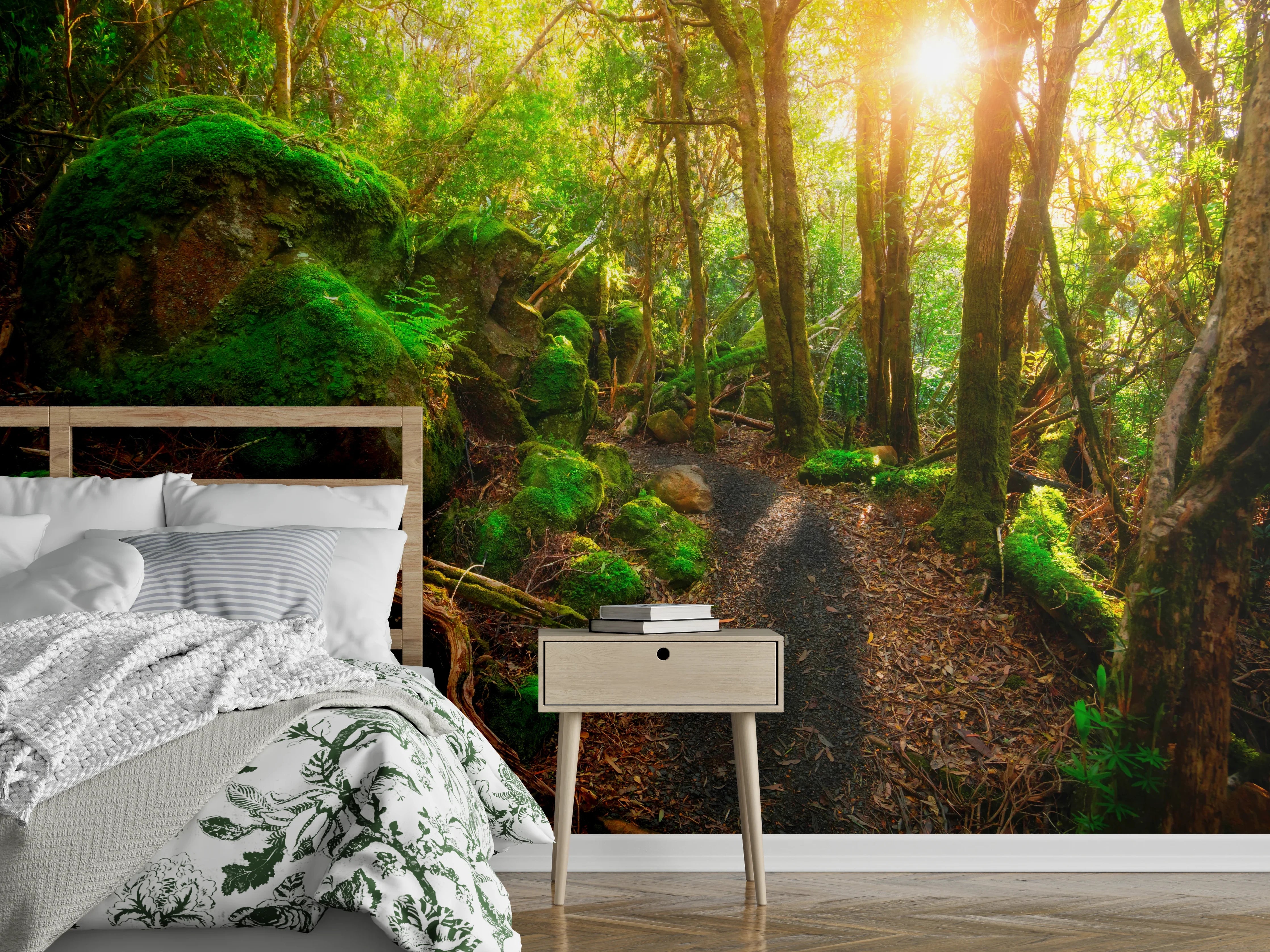Wandverkleidung Schlafzimmer - Morgenlicht im moosbedeckten Waldpfad