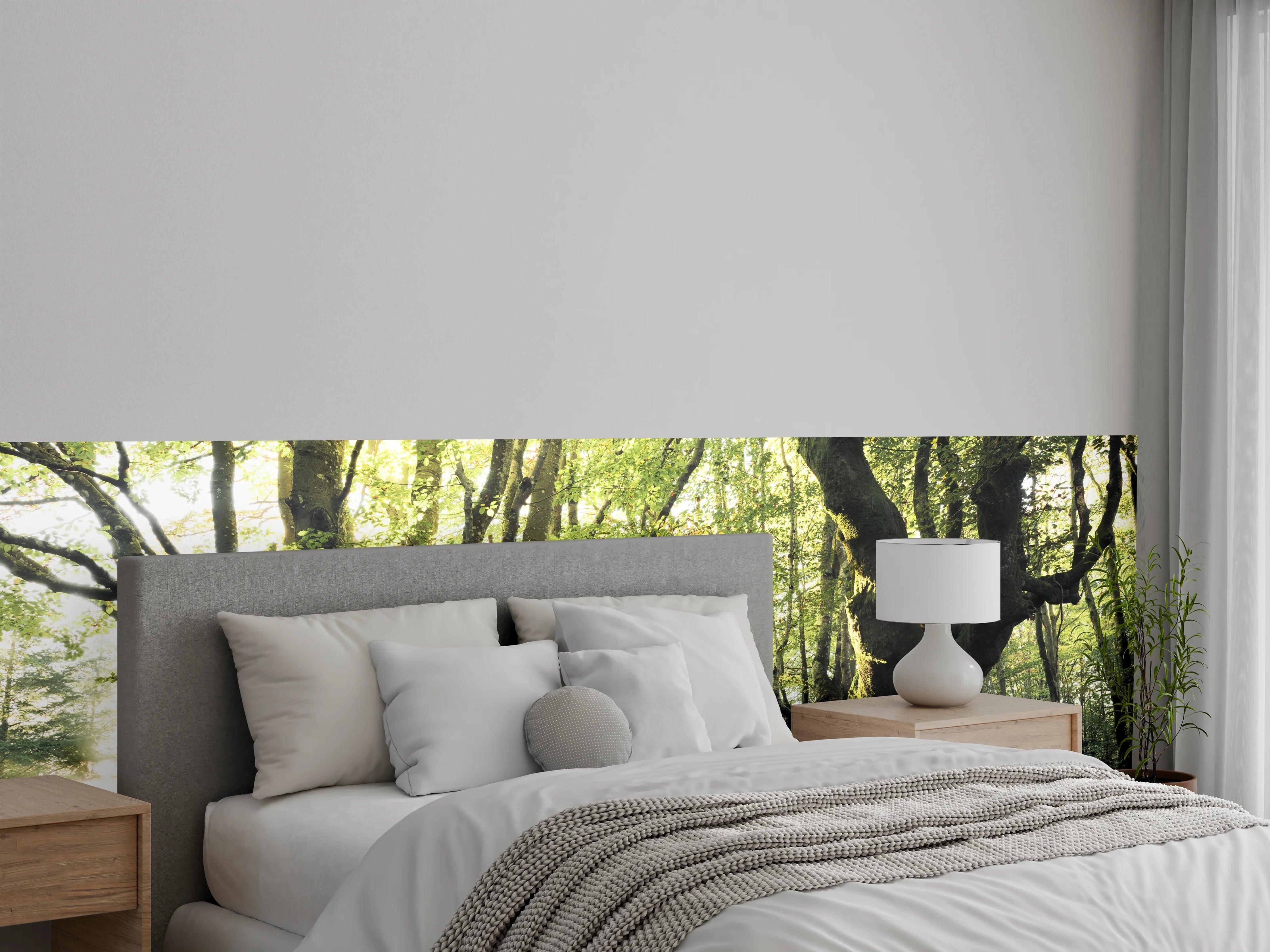 Wandverkleidung Schlafzimmer - Mystischer Buchenwald im Morgenlicht