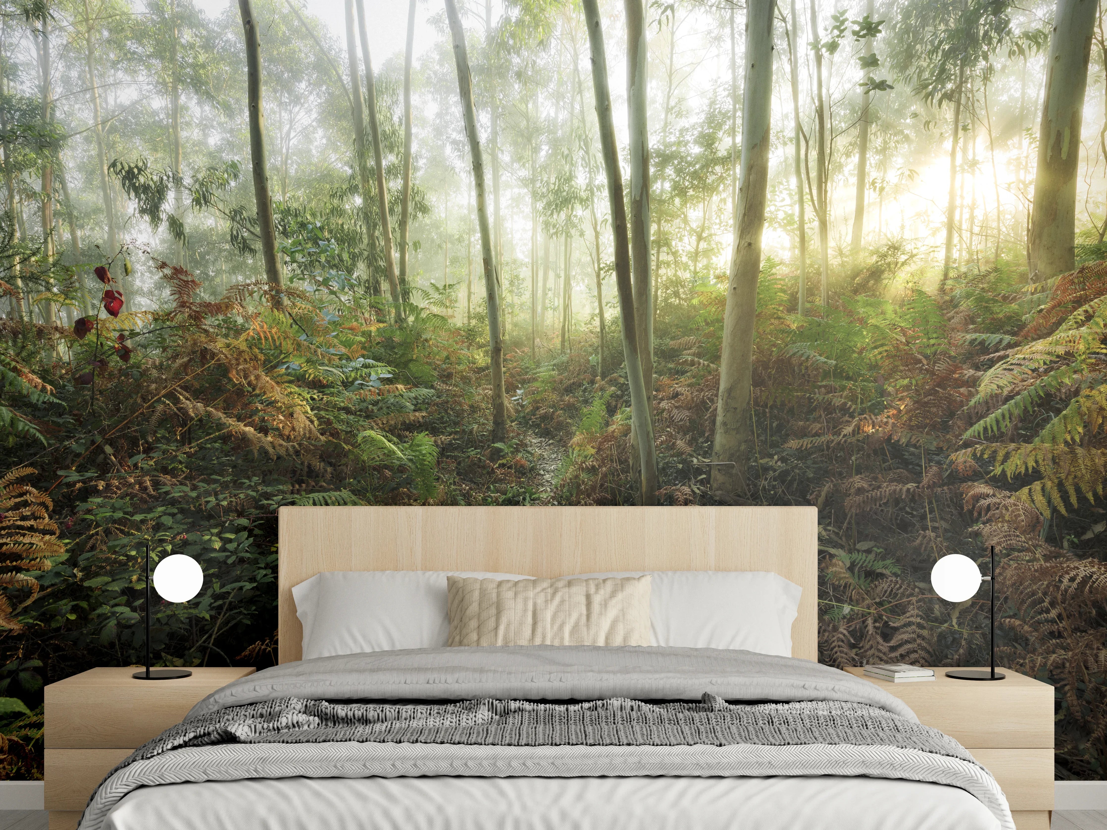 Wandverkleidung Schlafzimmer - Mystischer Morgenwald Fototapete