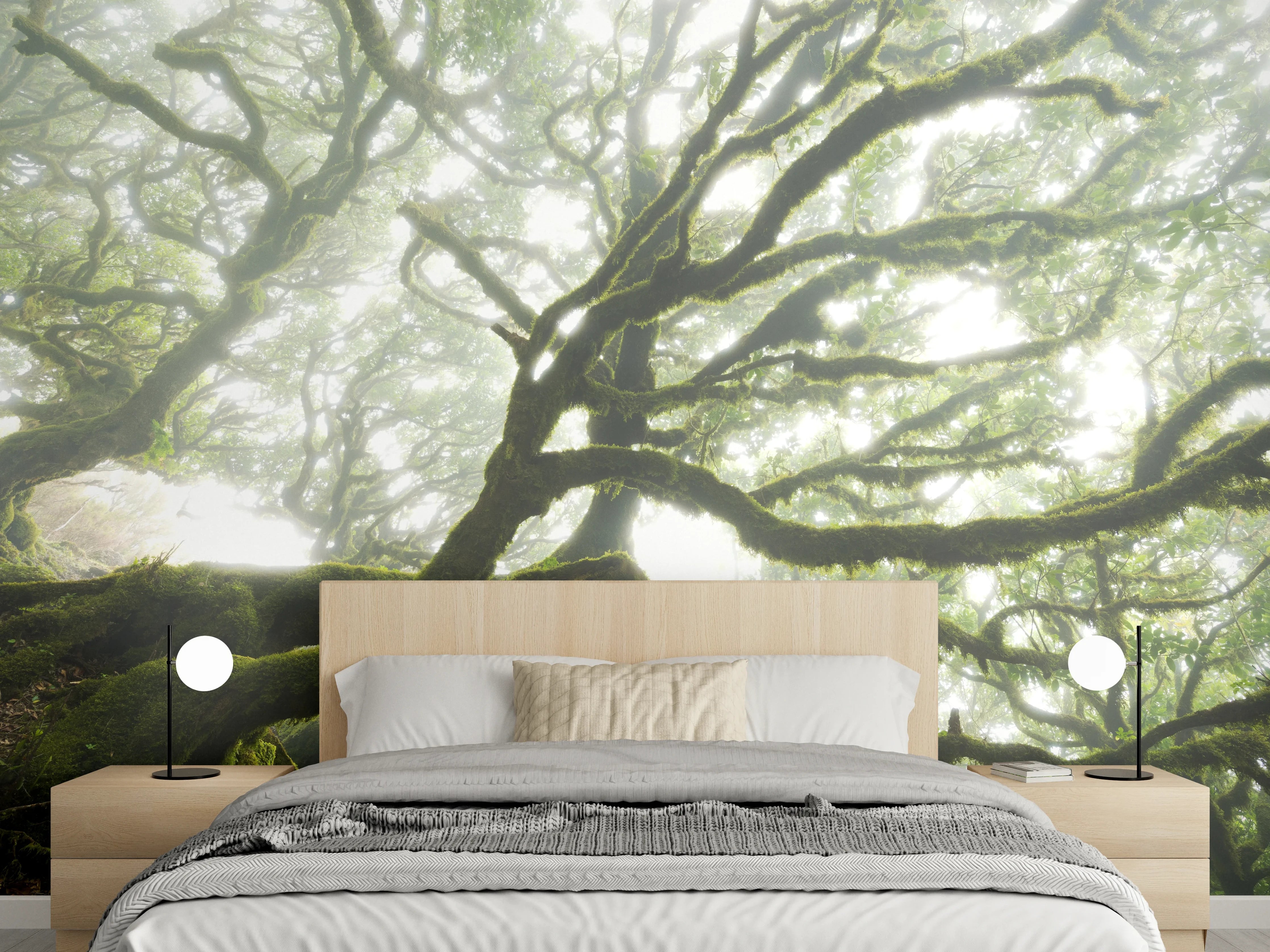 Wandverkleidung Schlafzimmer - Mystischer Nebelwald – Natur Fotomotiv