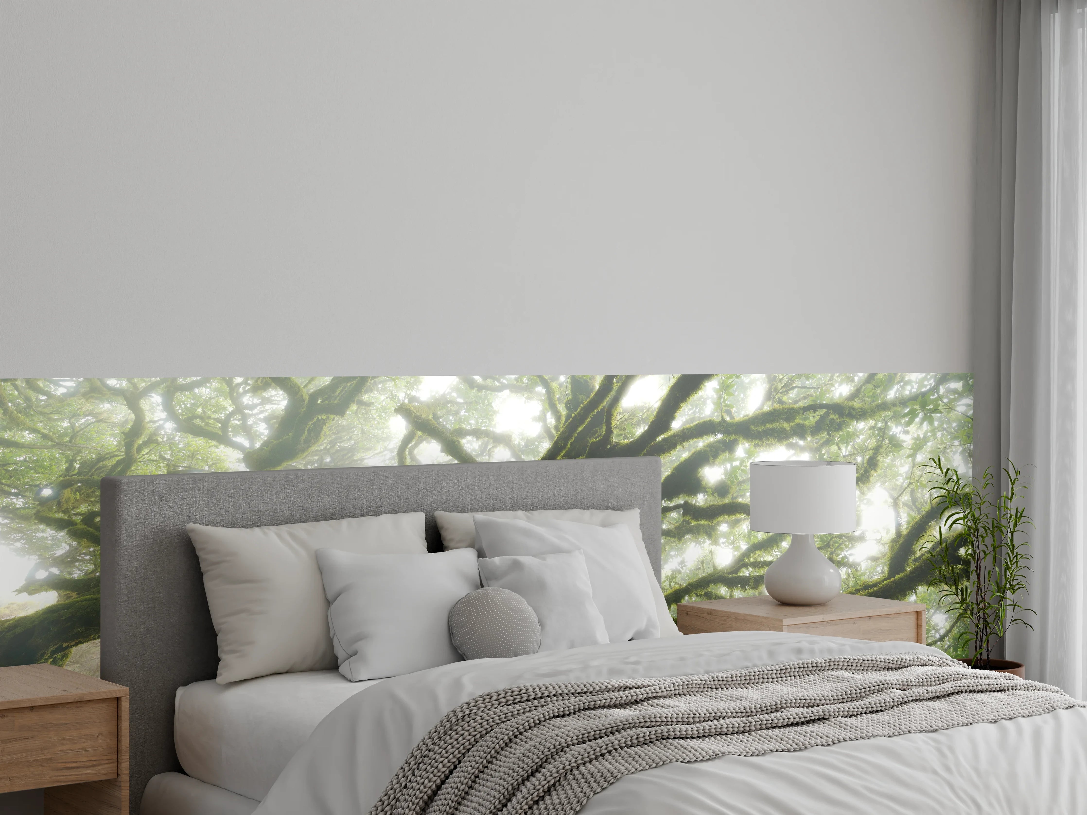 Wandverkleidung Schlafzimmer - Mystischer Nebelwald – Natur Fotomotiv