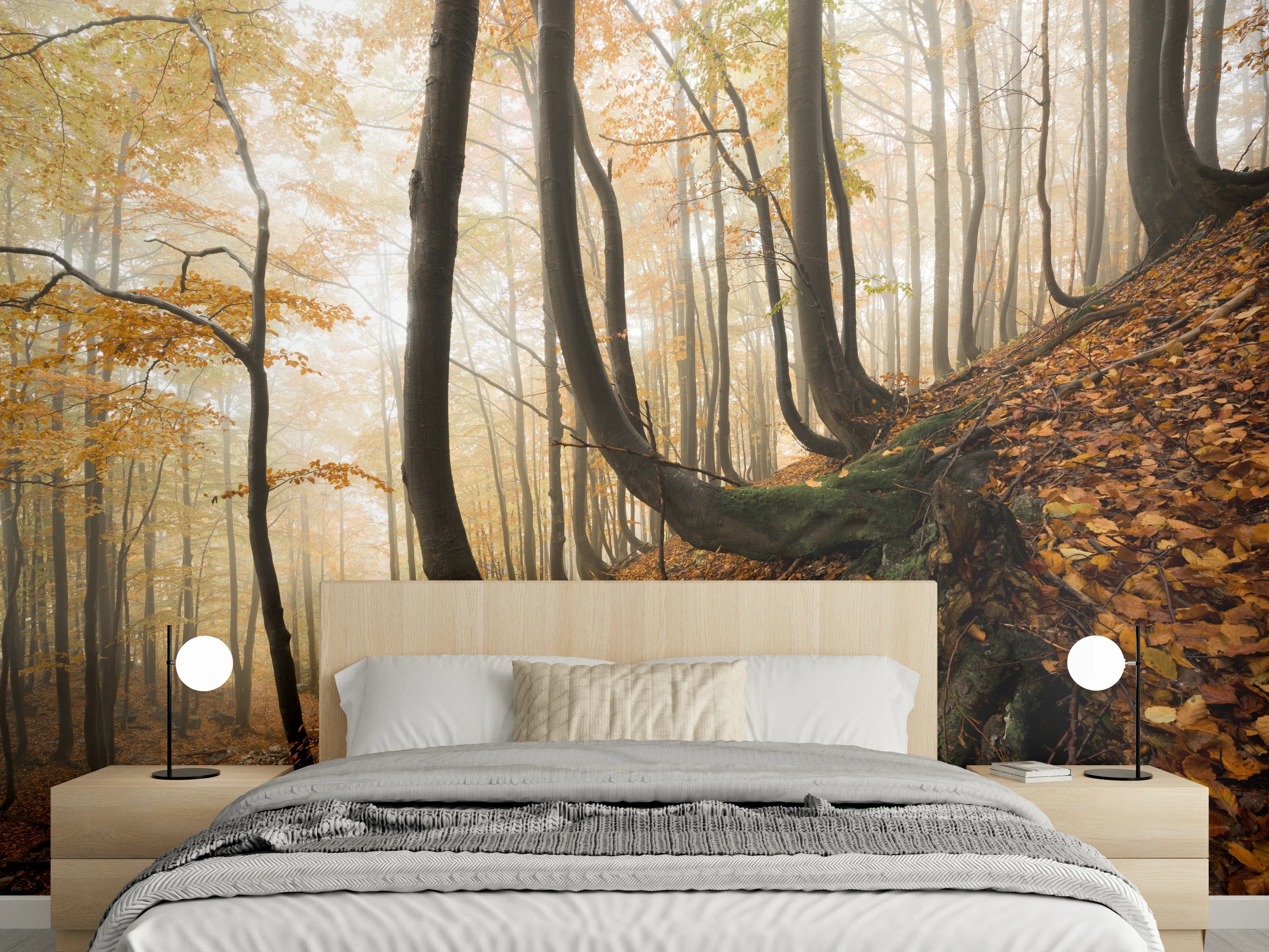 Wandverkleidung Schlafzimmer - Mystischer Wald im Herbstnebel