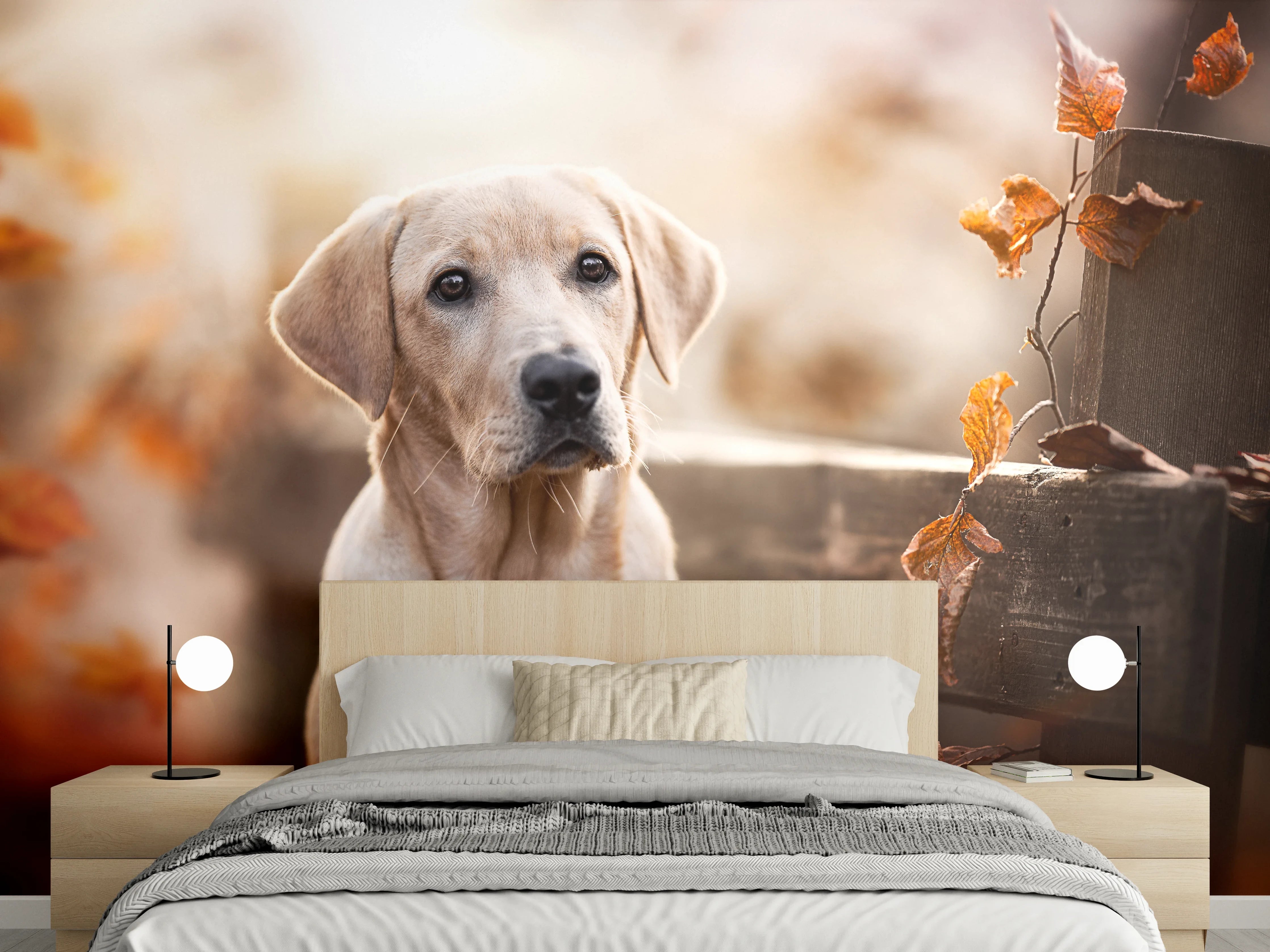 Wandverkleidung Schlafzimmer - Niedlicher Labrador Welpe