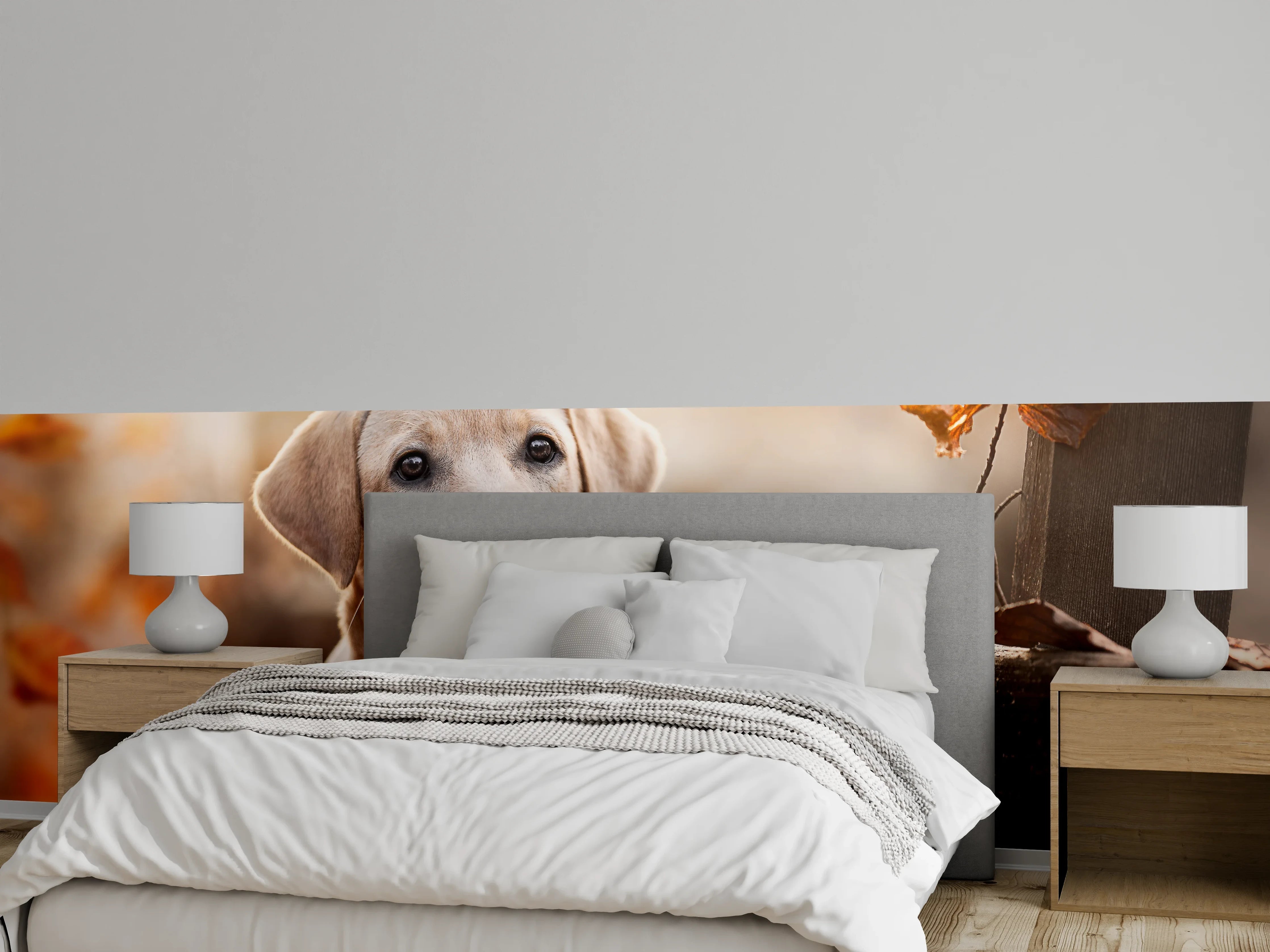 Wandverkleidung Schlafzimmer - Niedlicher Labrador Welpe