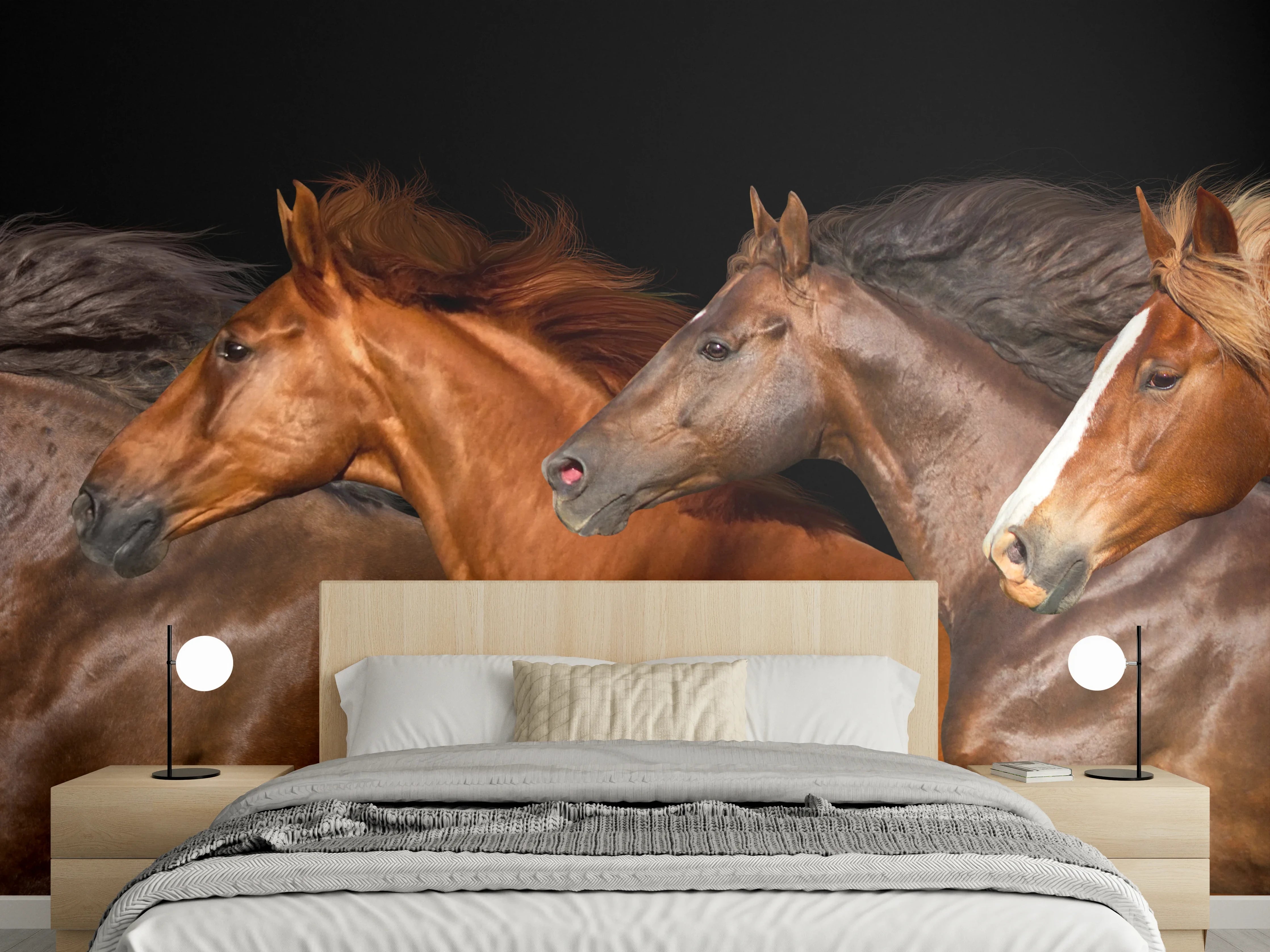 Wandverkleidung Schlafzimmer - Pferdeherde Schwarz Hintergrund