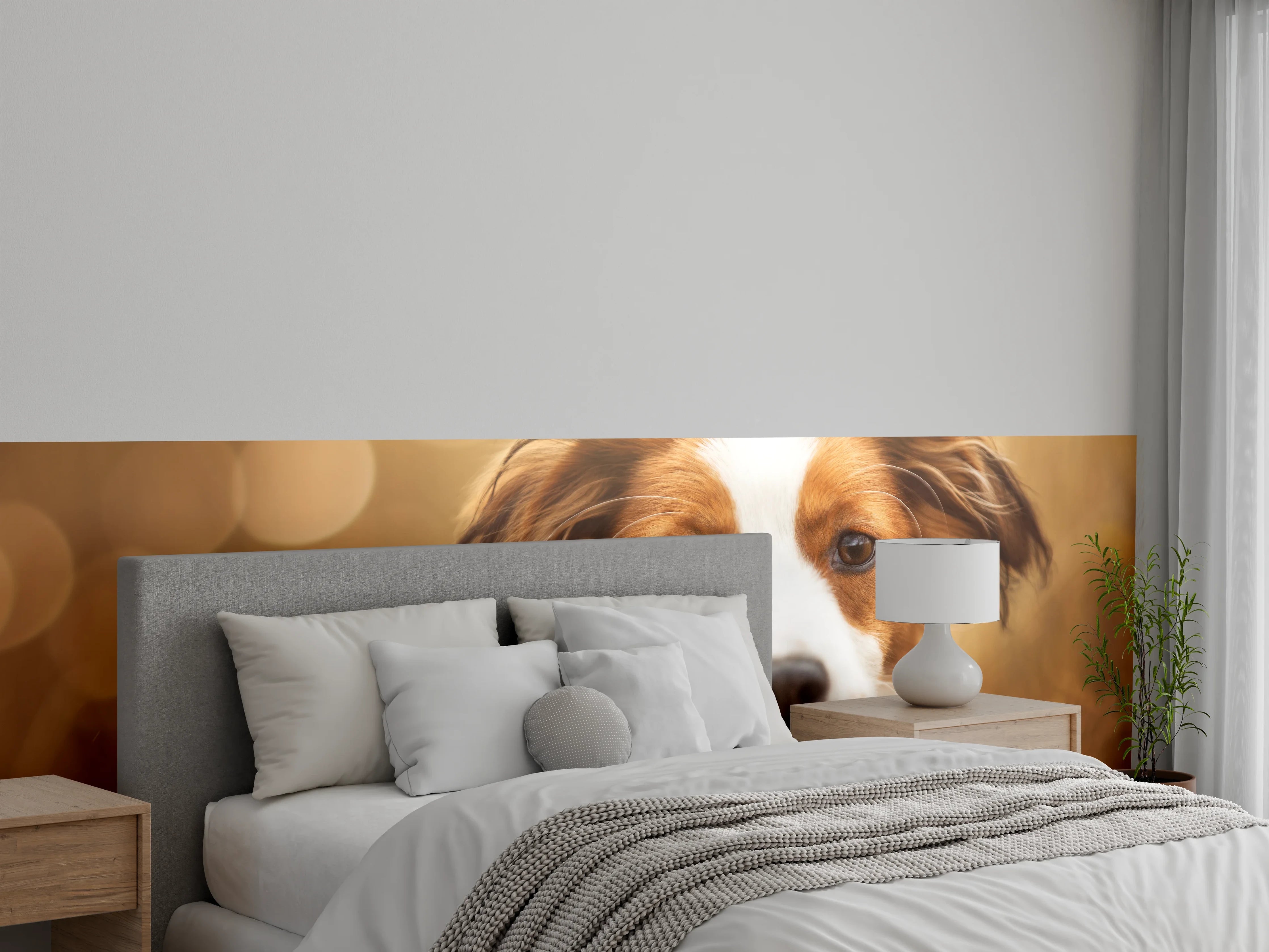 Wandverkleidung Schlafzimmer - Portrait eines süßen Kooiker Hundes
