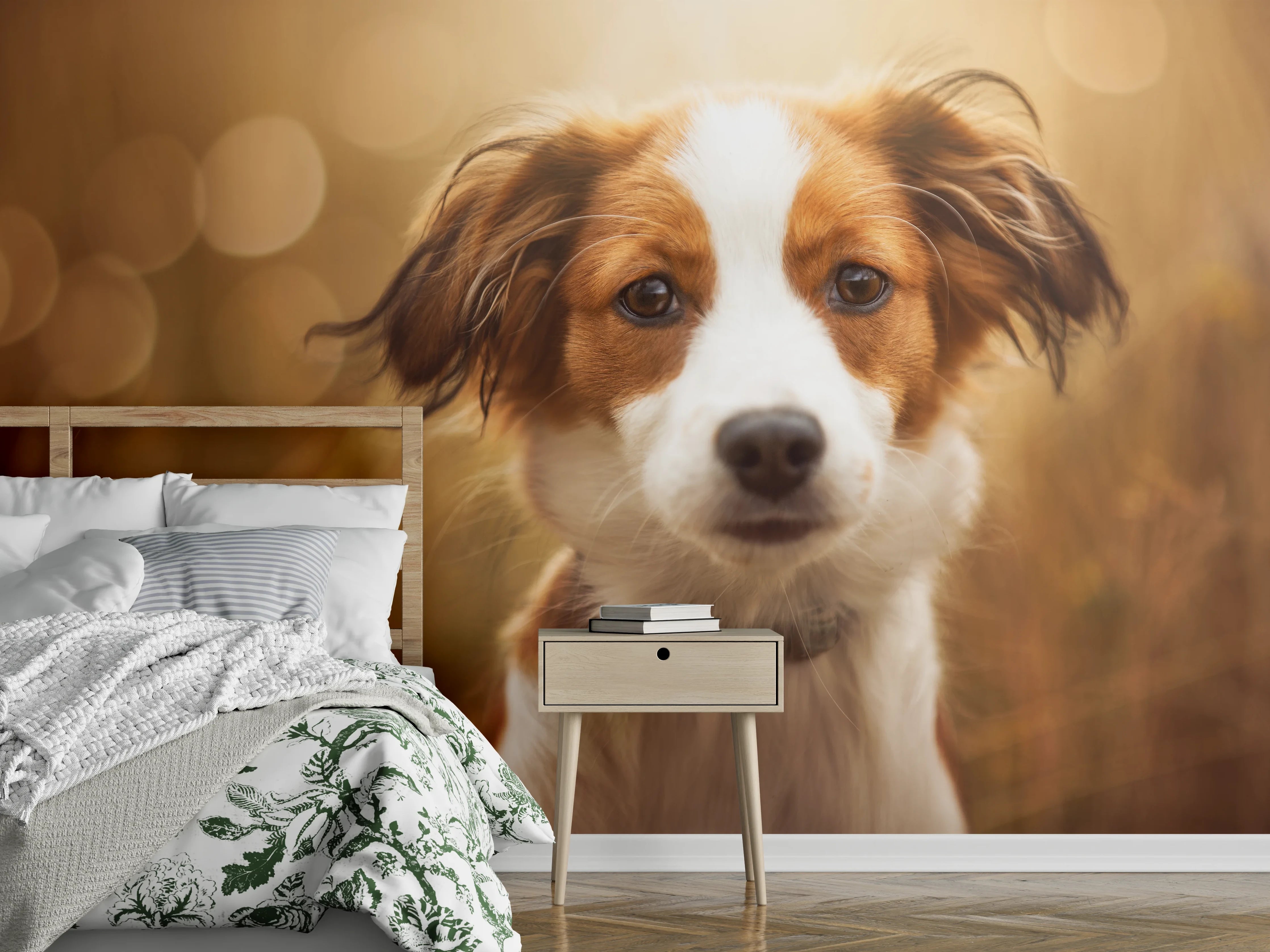 Wandverkleidung Schlafzimmer - Portrait eines süßen Kooiker Hundes