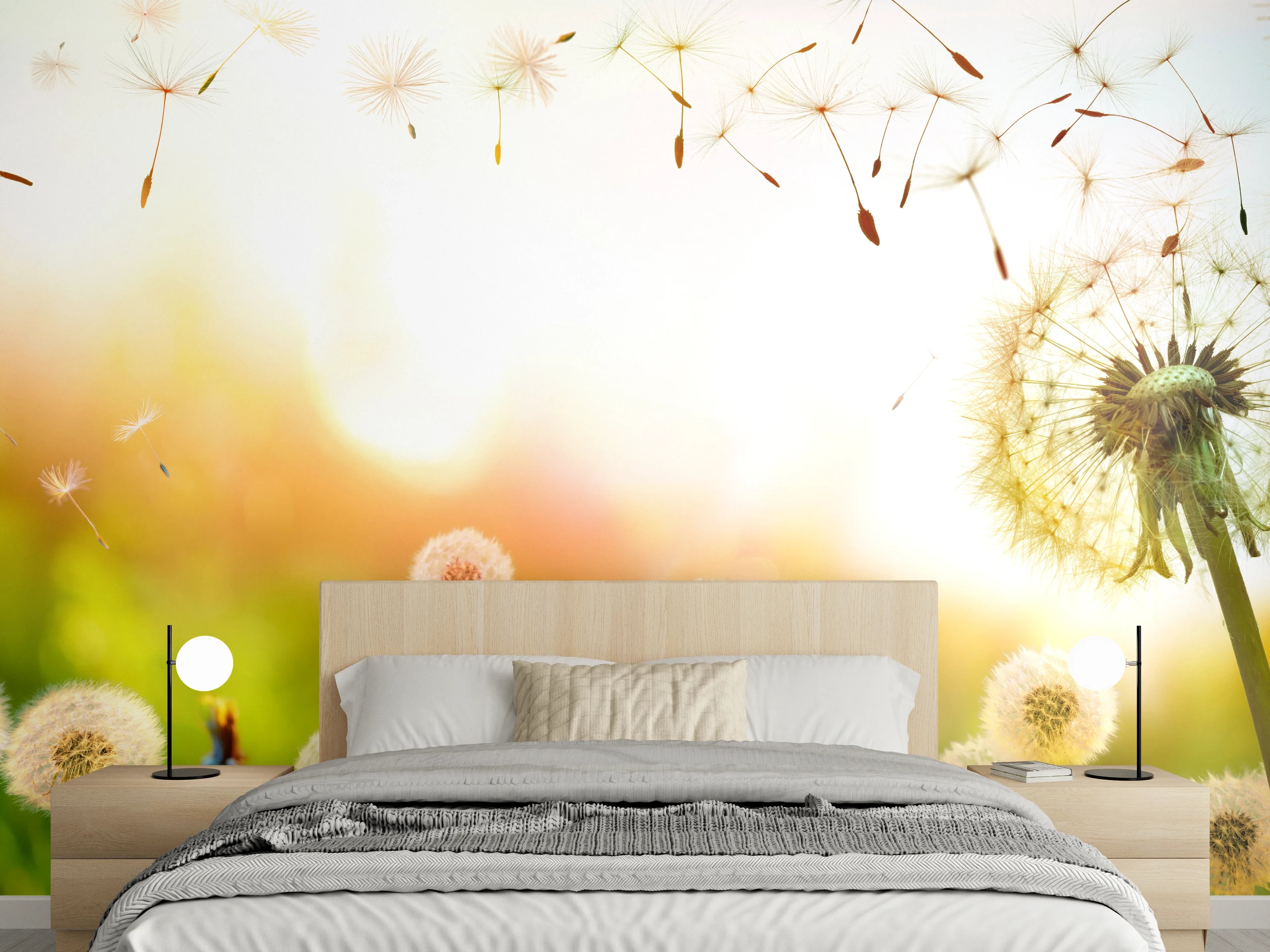 Wandverkleidung Schlafzimmer - Pusteblumen im goldenen Licht