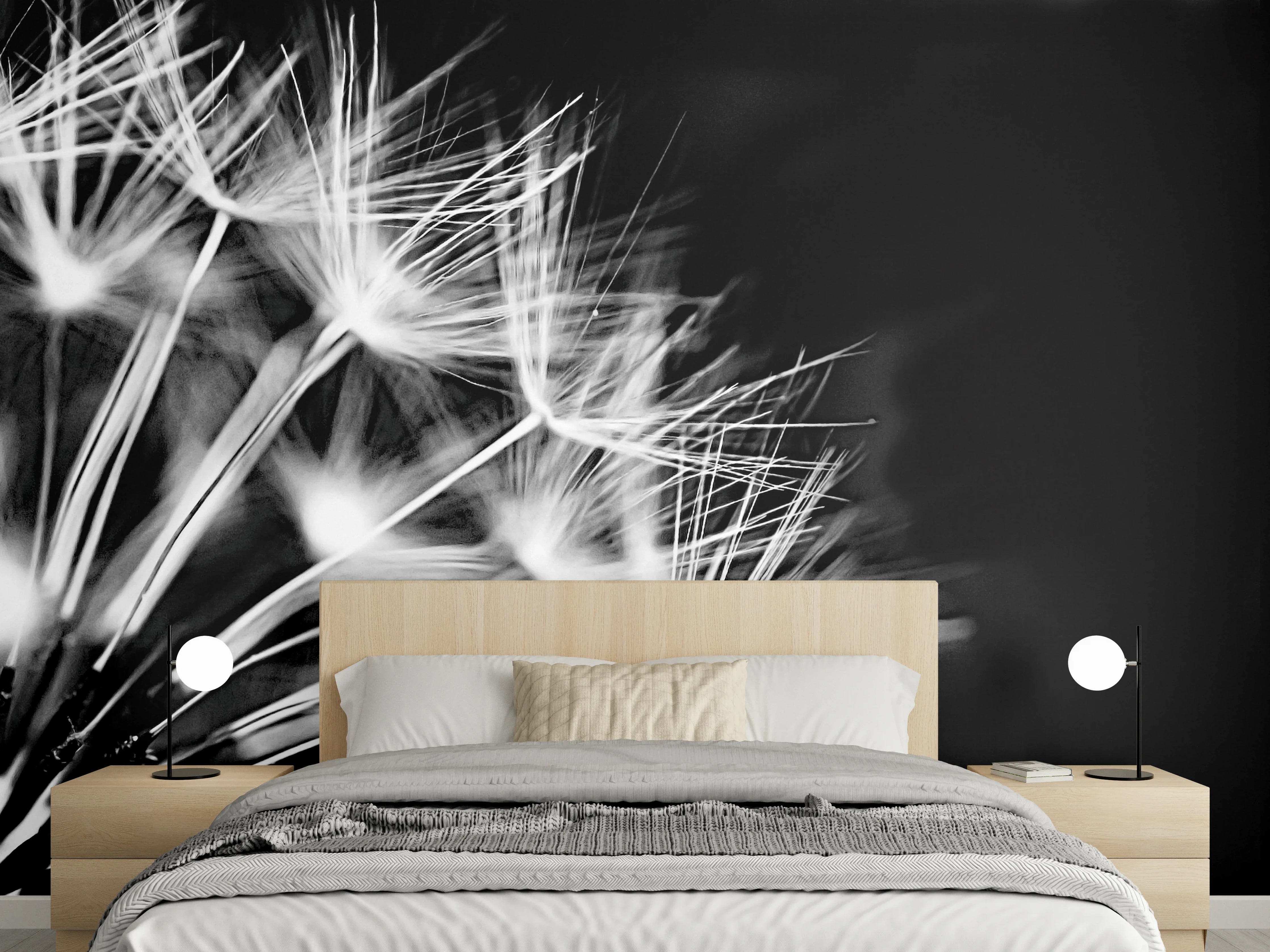 Wandverkleidung Schlafzimmer - Pusteblumen schwarz-weiß Hintergrund