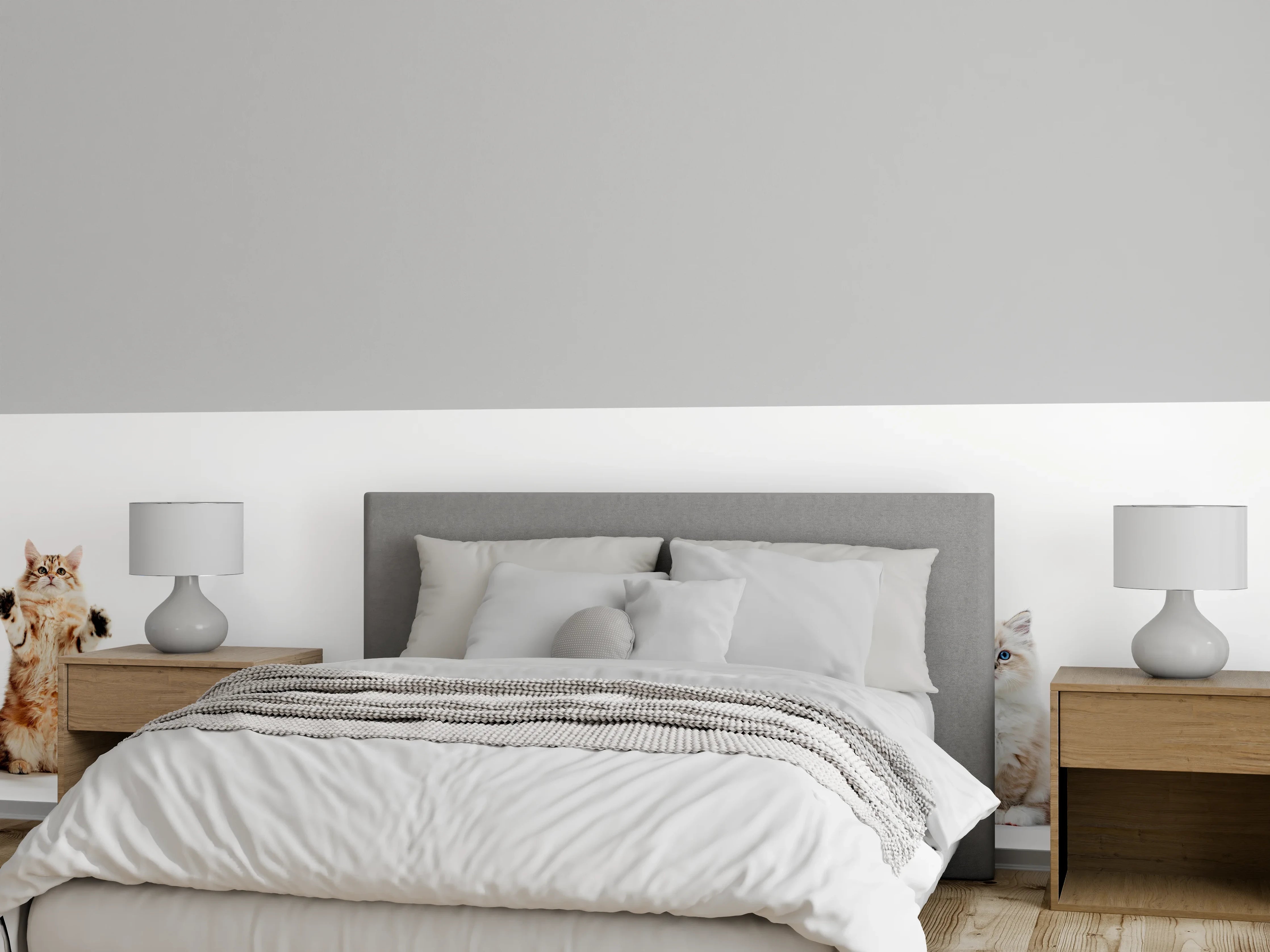 Wandverkleidung Schlafzimmer - Reinrassige Katzen Weiß-Sammlung