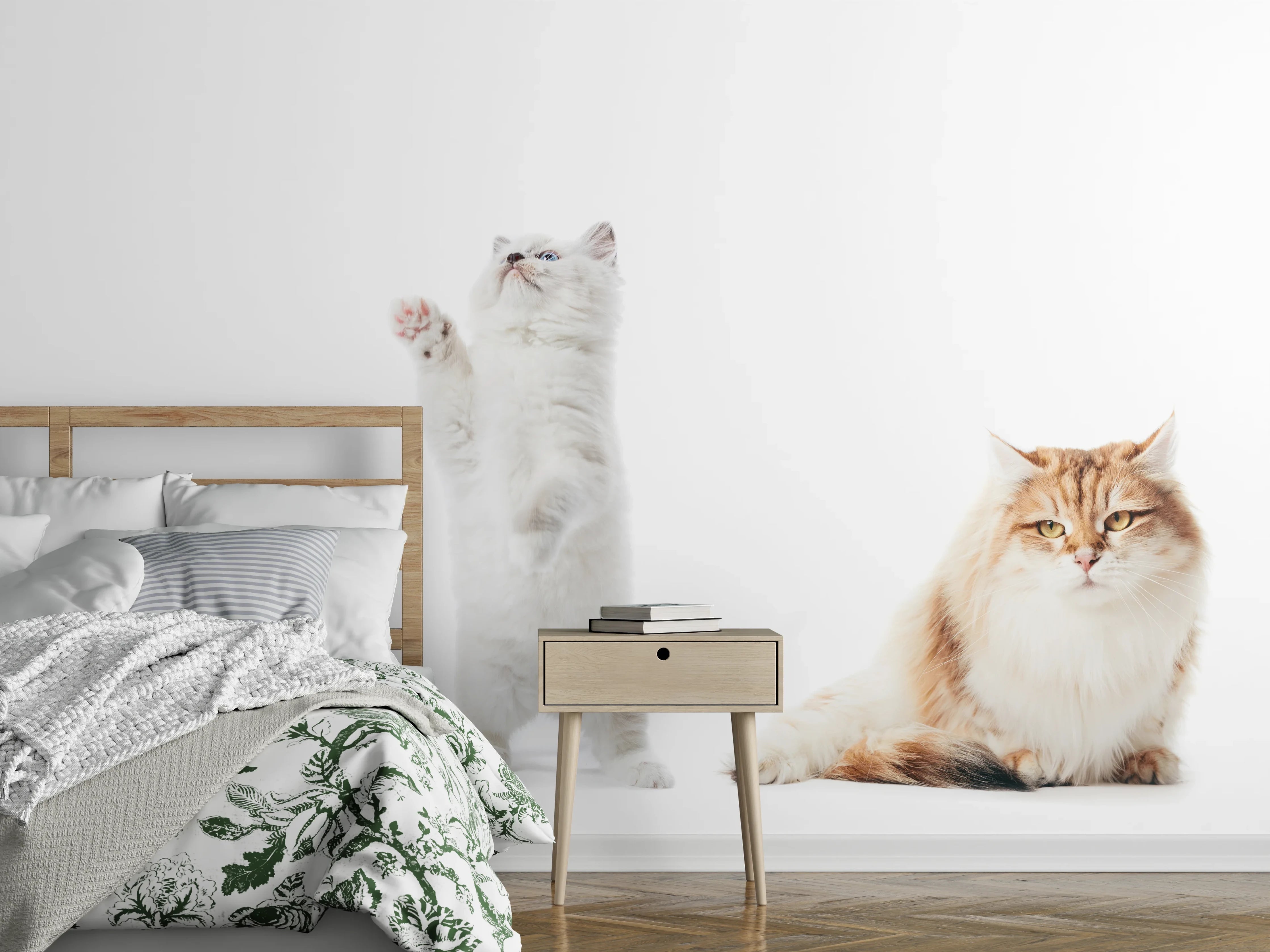 Wandverkleidung Schlafzimmer - Reinrassige Katzen Weiß-Sammlung