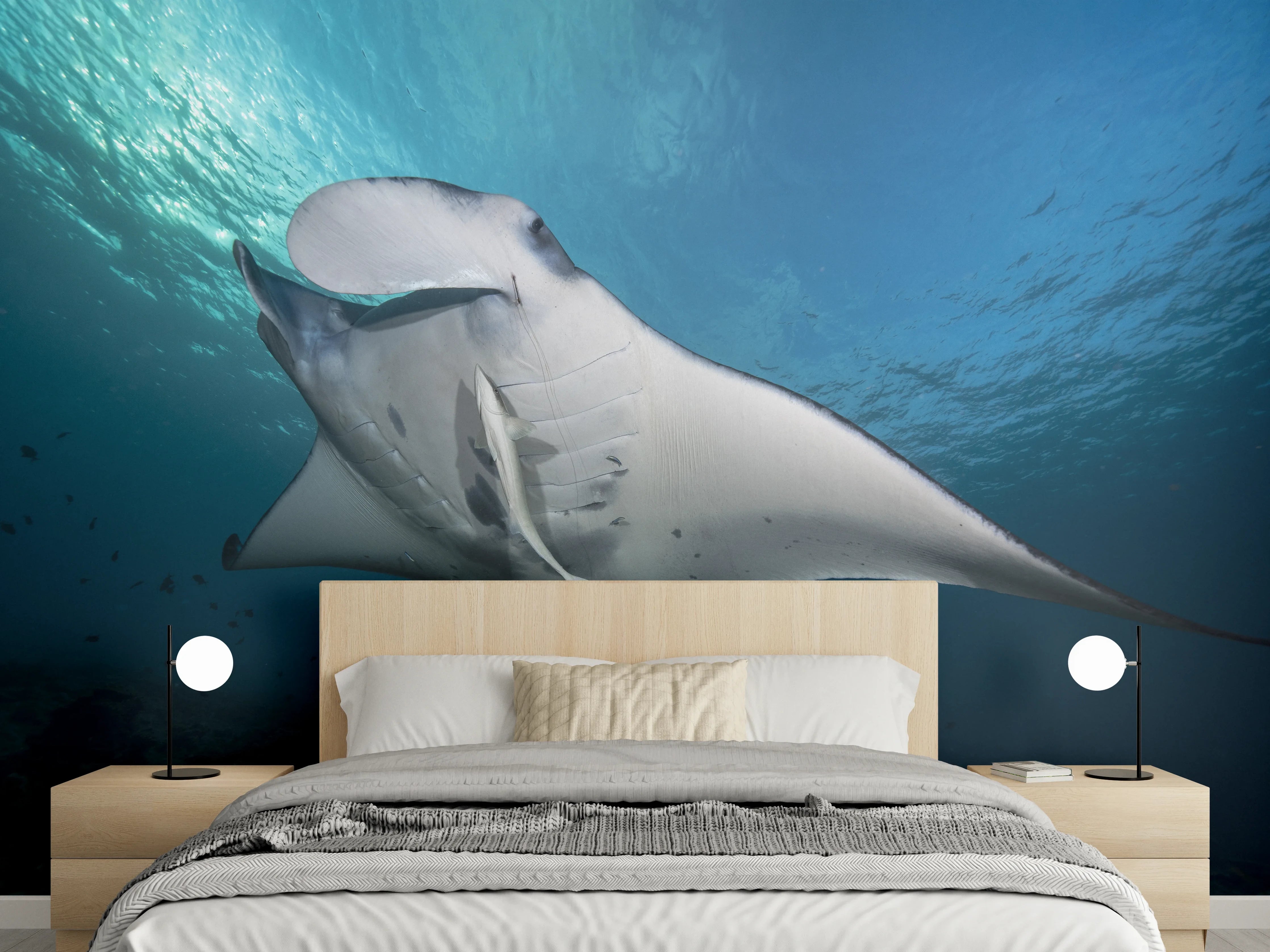 Wandverkleidung Schlafzimmer - Riff-Manta Unterwasser