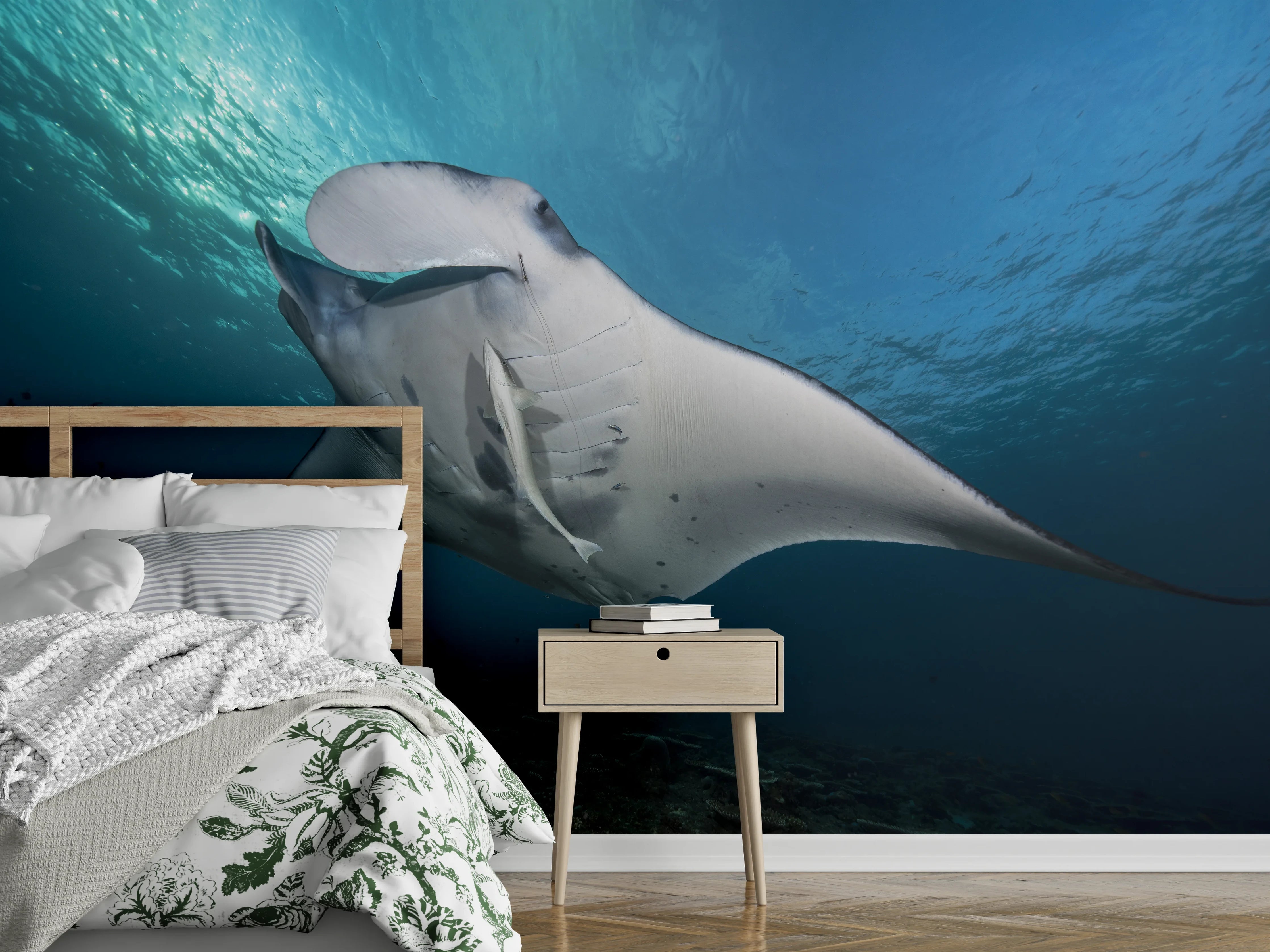 Wandverkleidung Schlafzimmer - Riff-Manta Unterwasser