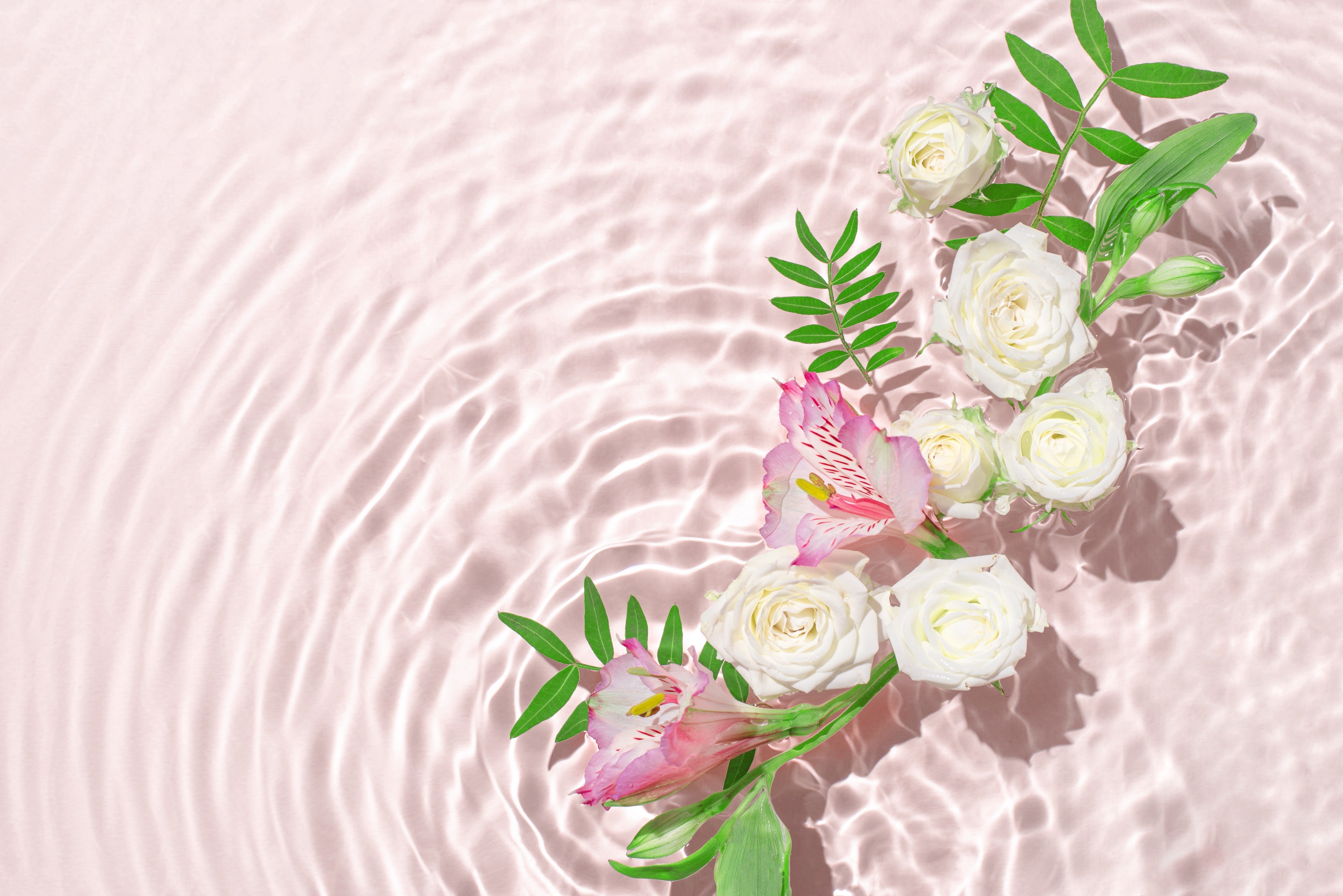 Wandverkleidung Schlafzimmer-Rosa Blumen auf Wasser