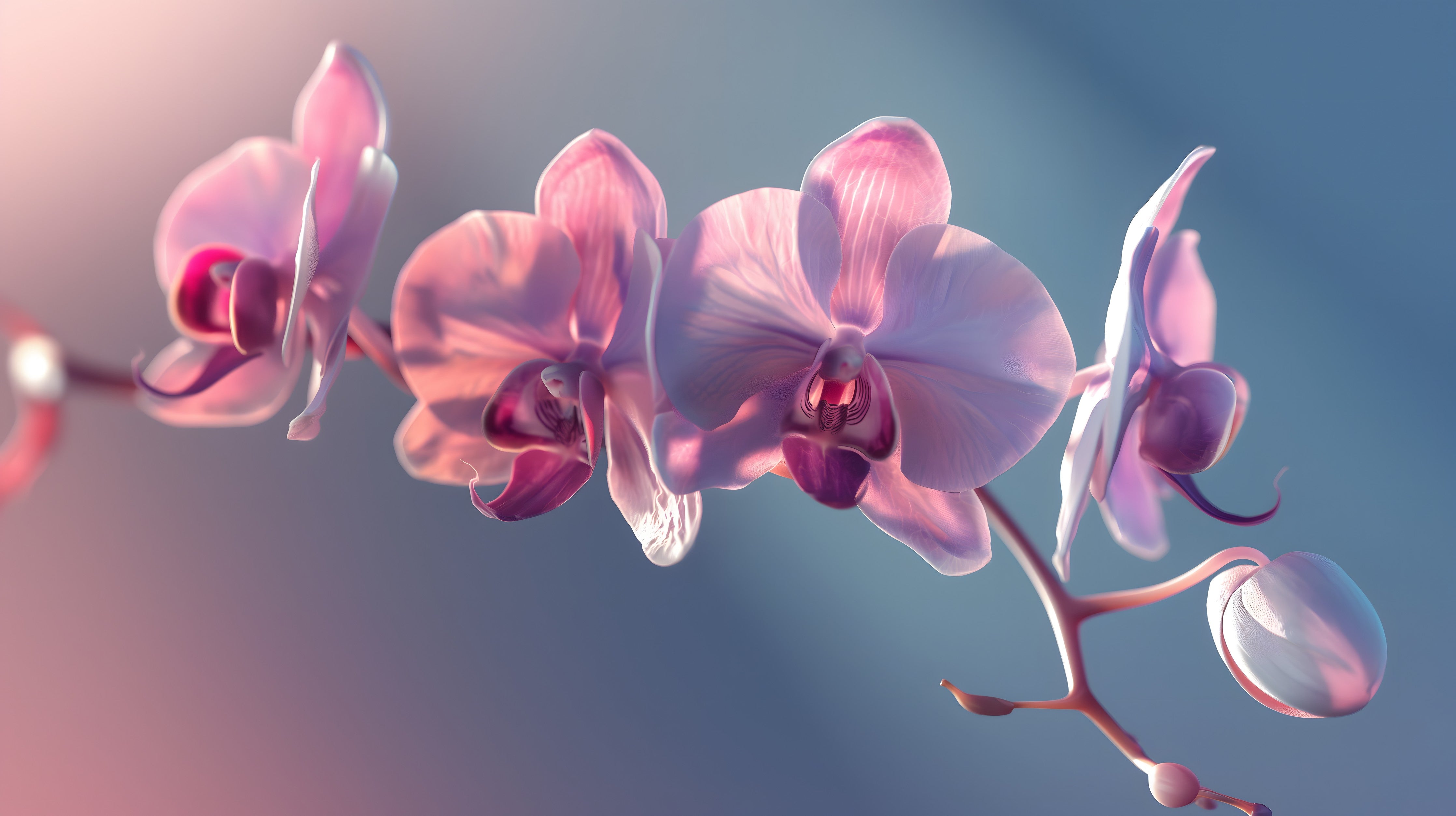 Wandverkleidung Schlafzimmer-Rosa Orchideen auf Blau