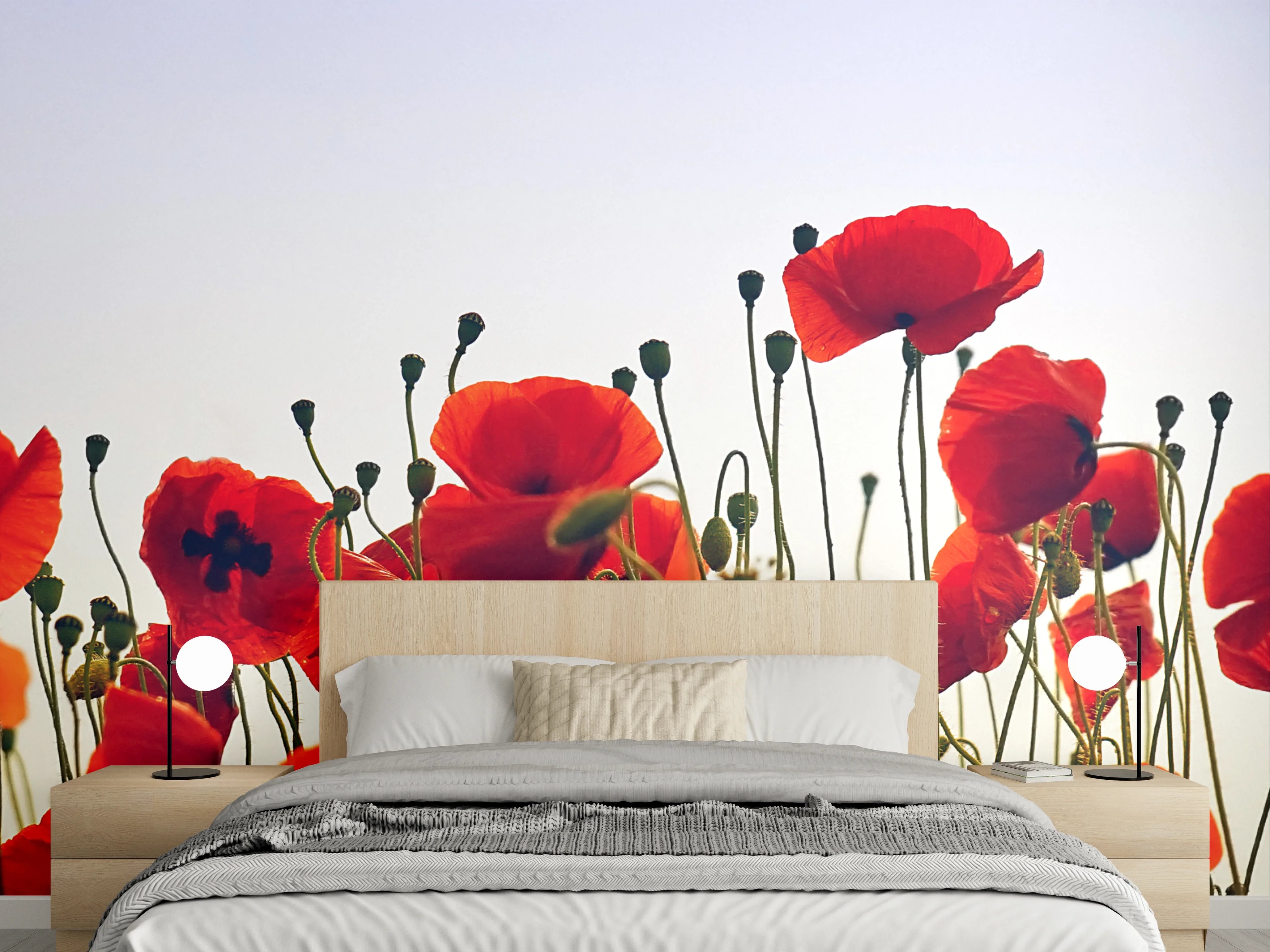 Wandverkleidung Schlafzimmer - Rote Mohnblumen Wiese Panorama