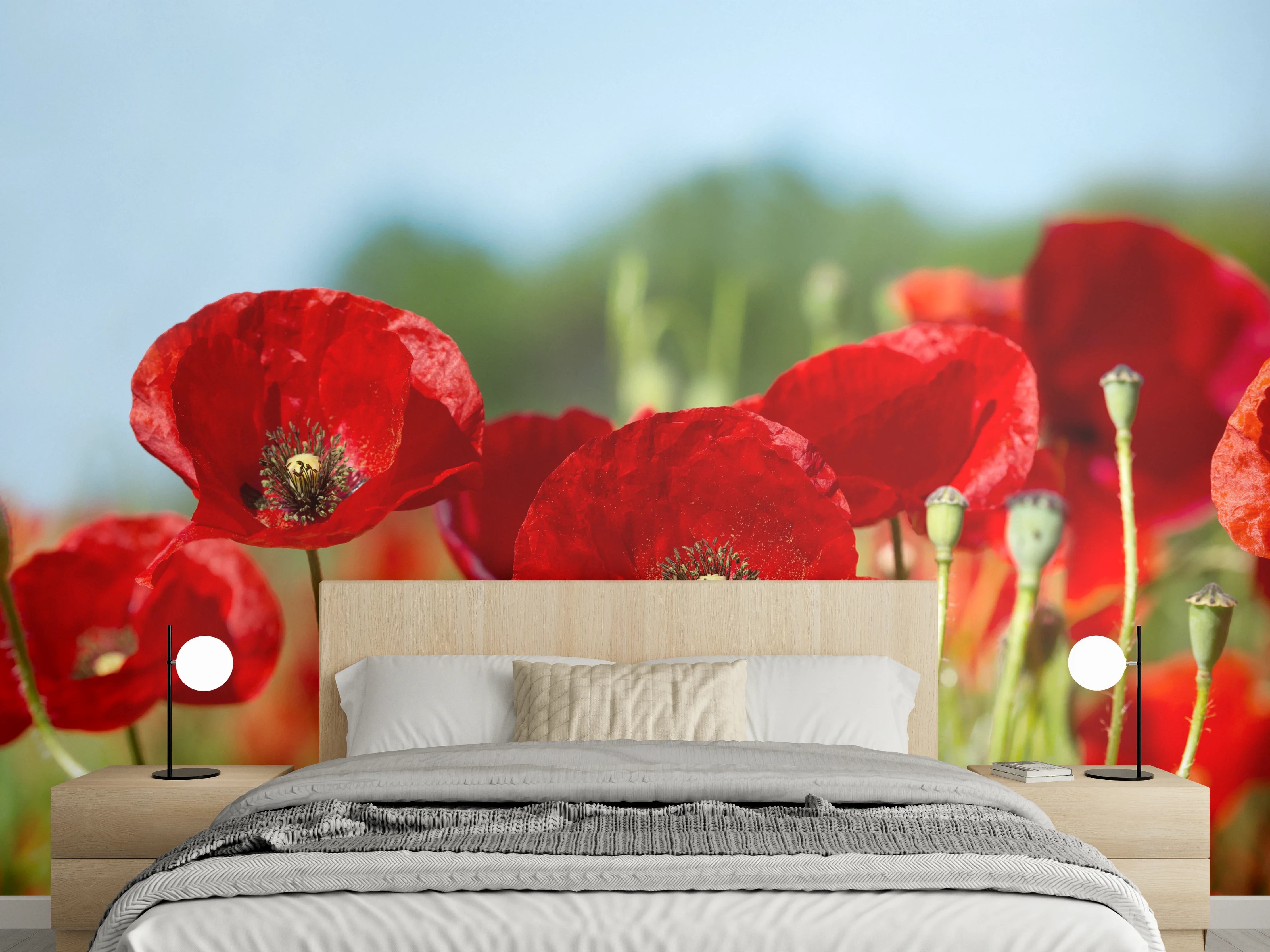 Wandverkleidung Schlafzimmer - Rote Mohnblumen auf einem Feld
