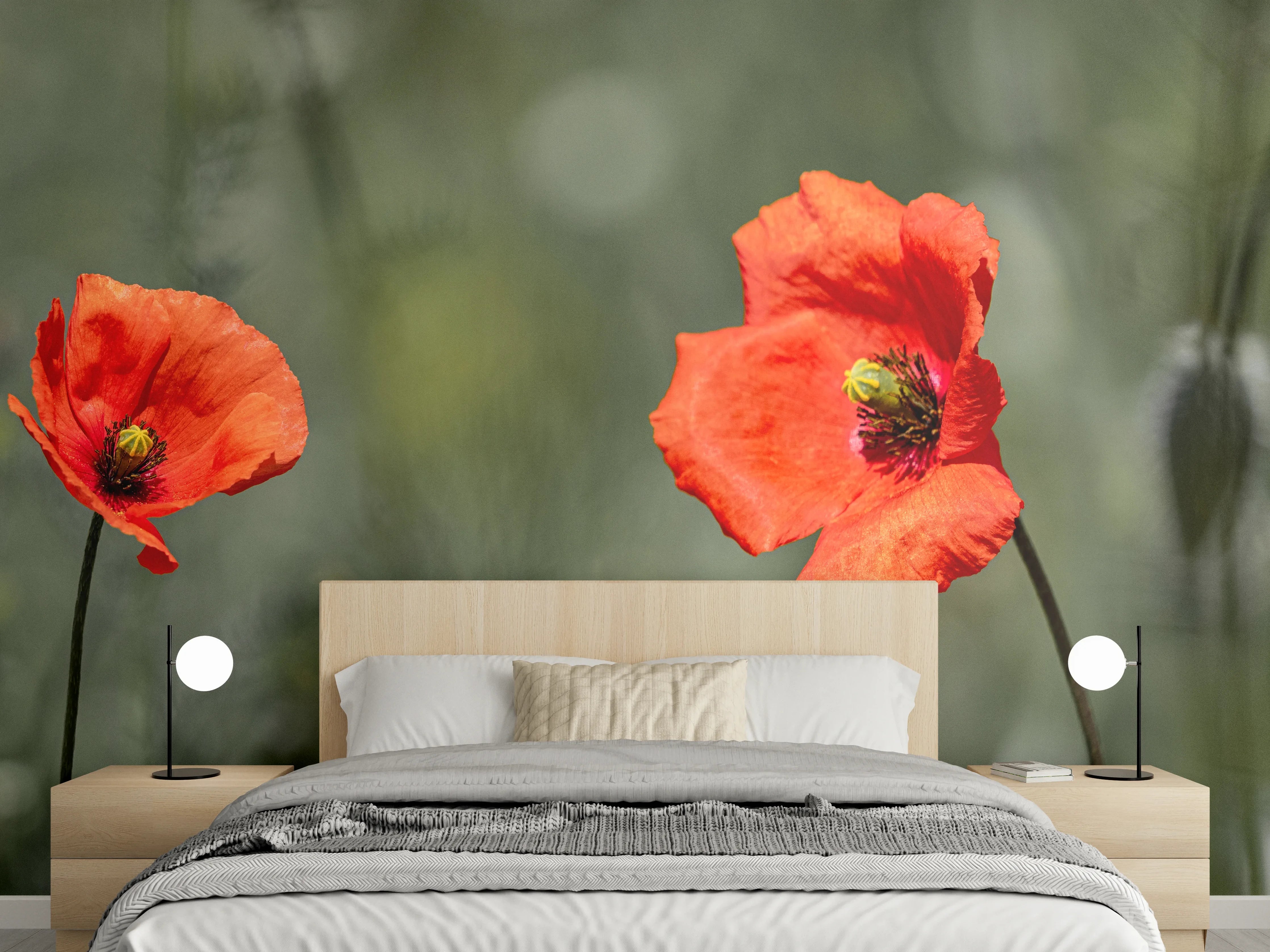 Wandverkleidung Schlafzimmer - Roter Mohn inmitten des Grüns