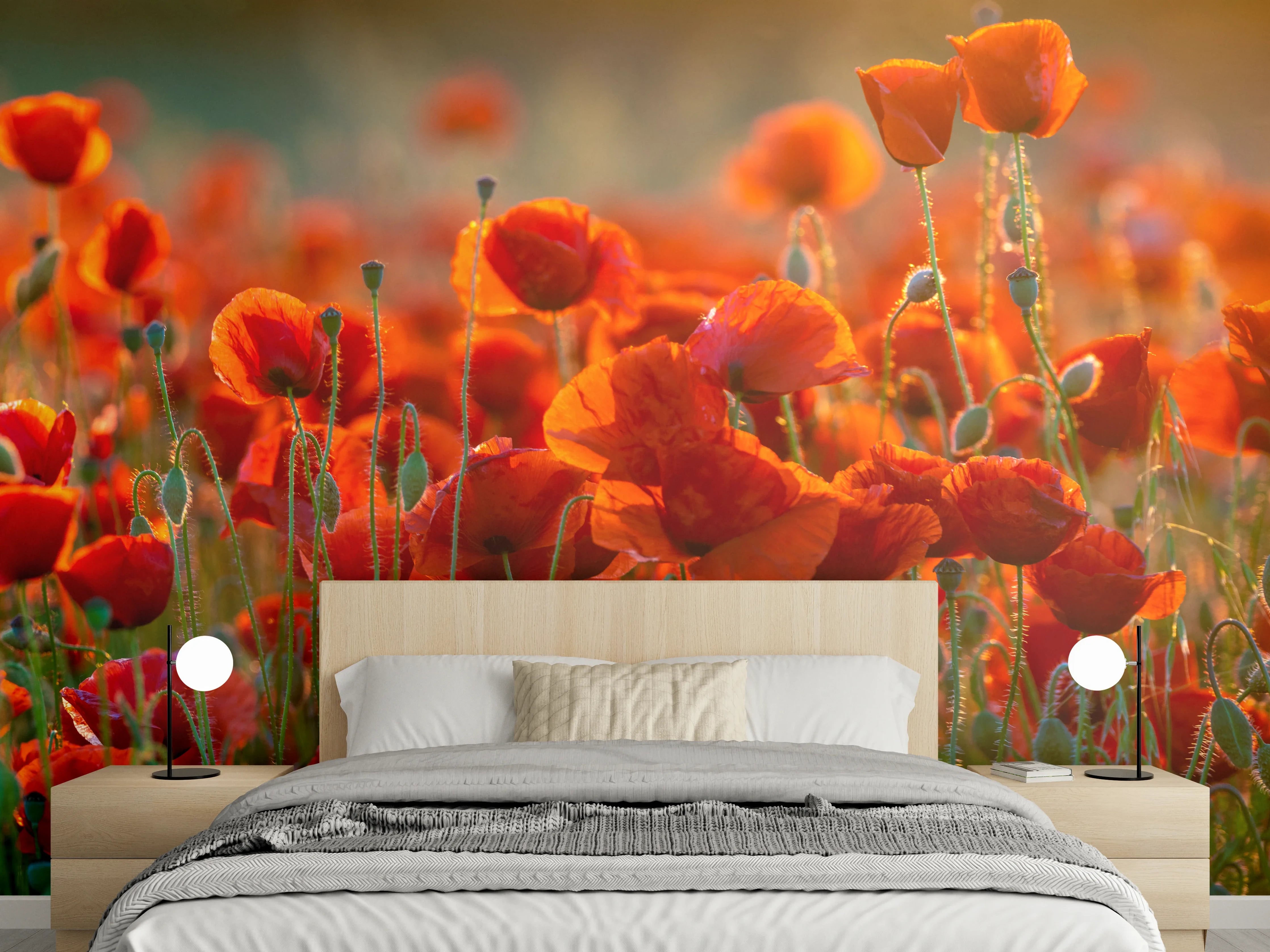 Wandverkleidung Schlafzimmer - Rotes Mohnfeld Panorama