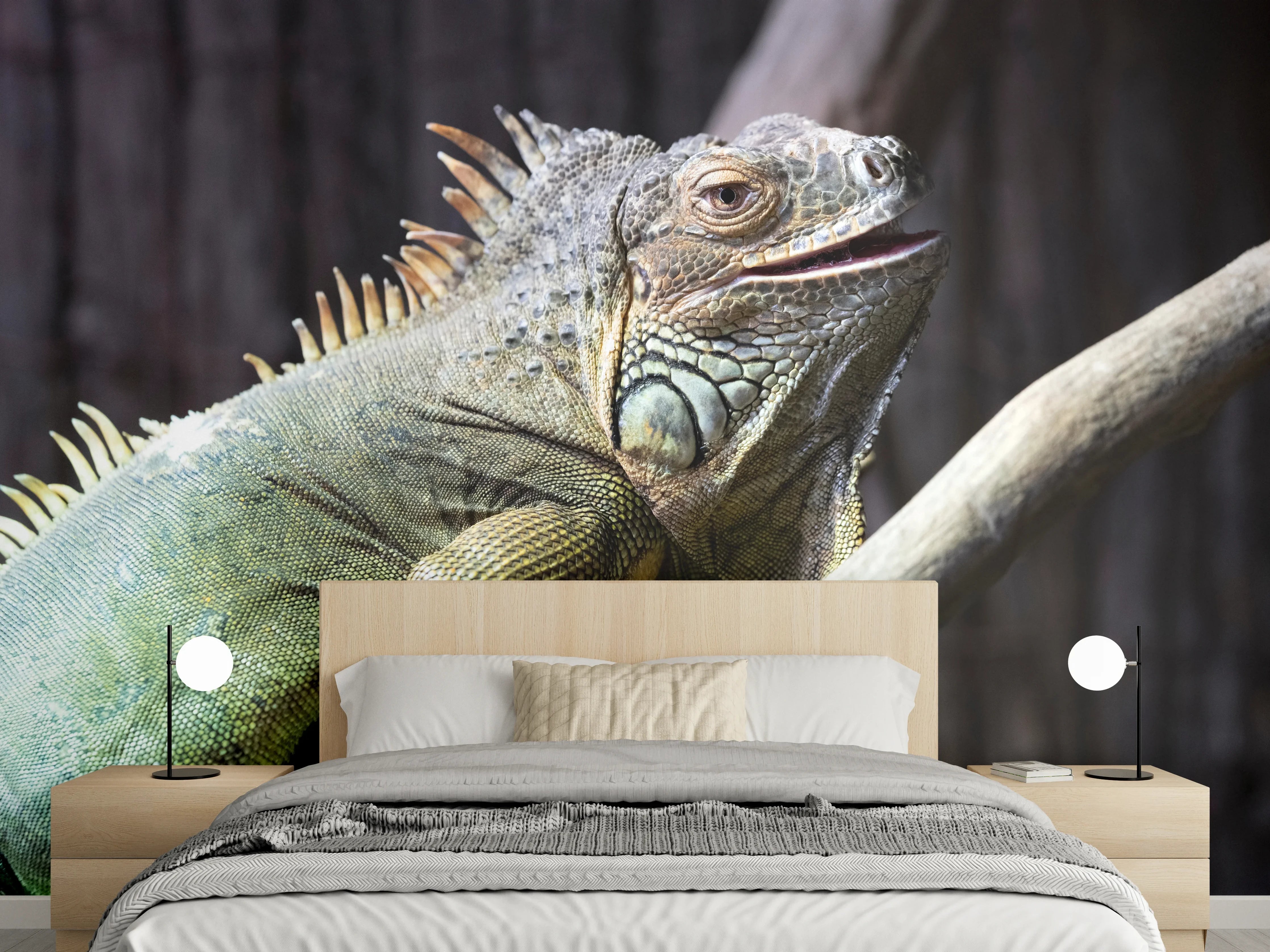 Wandverkleidung Schlafzimmer - Ruhender Leguan