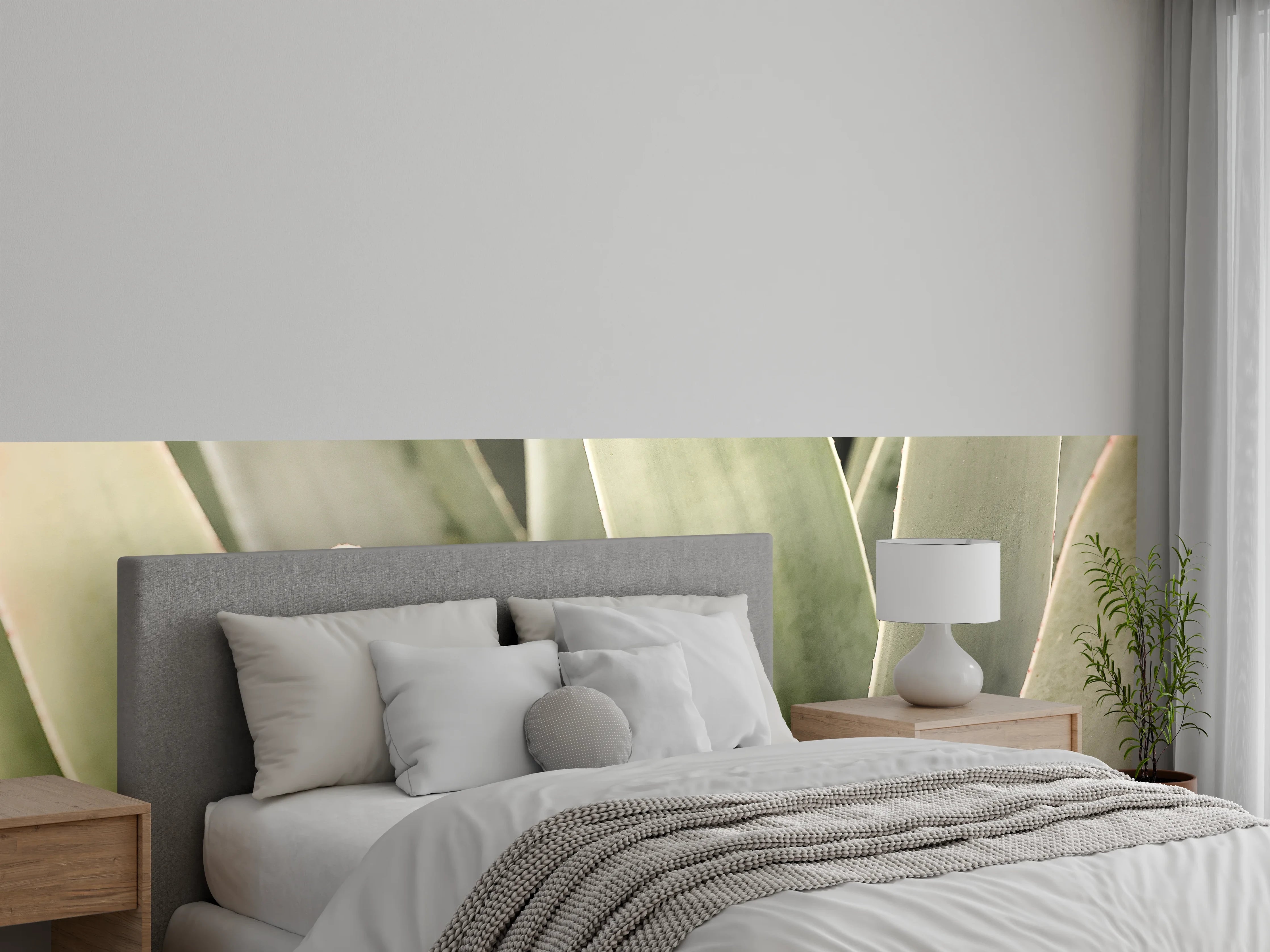 Wandverkleidung Schlafzimmer - Sanfte Sukkulente mit grünen Blättern