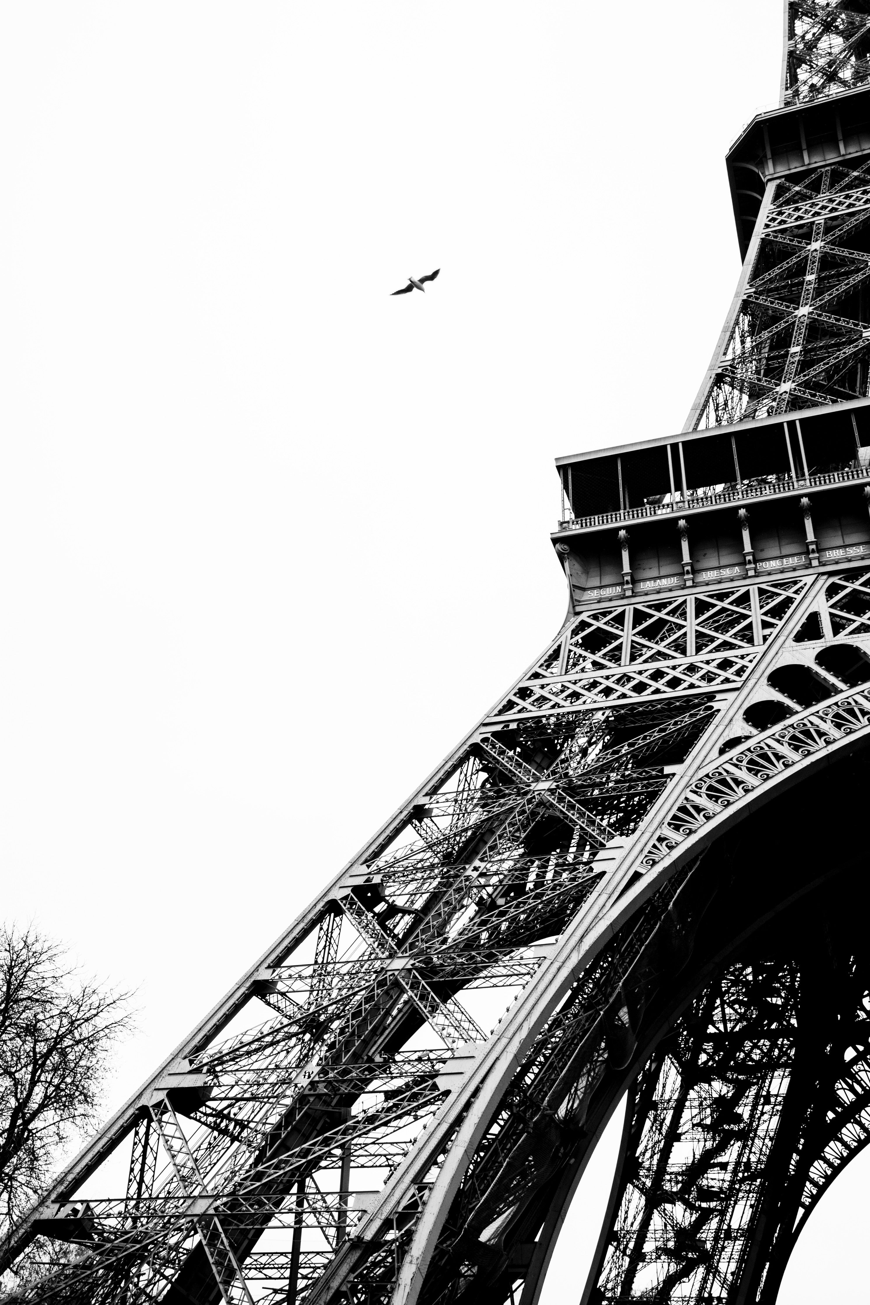 Wandverkleidung Schlafzimmer-Schwarz-Weiß Eiffelturm mit Flugzeug