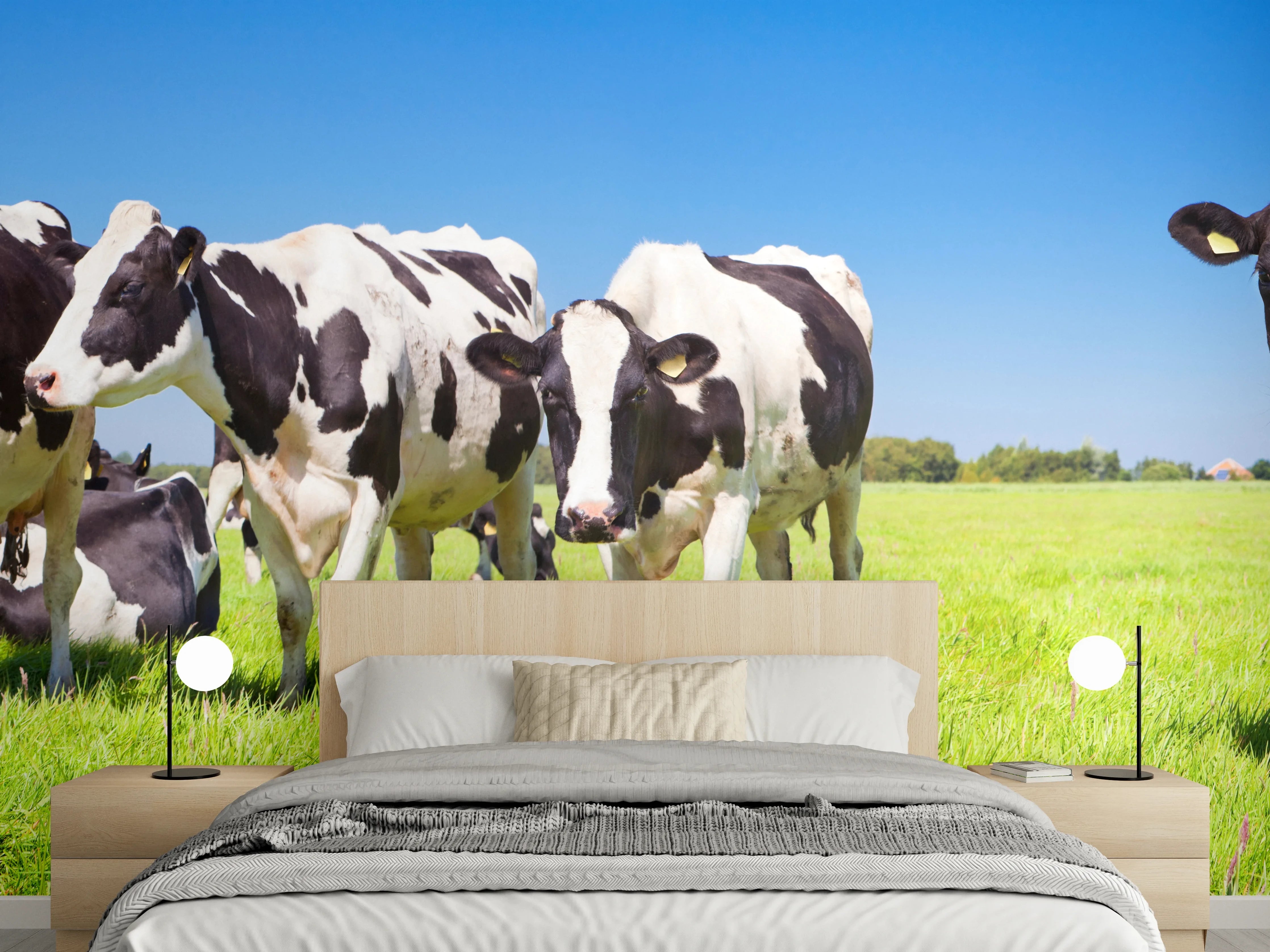 Wandverkleidung Schlafzimmer - Schwarz-Weiß-Kühe auf grüner Weide