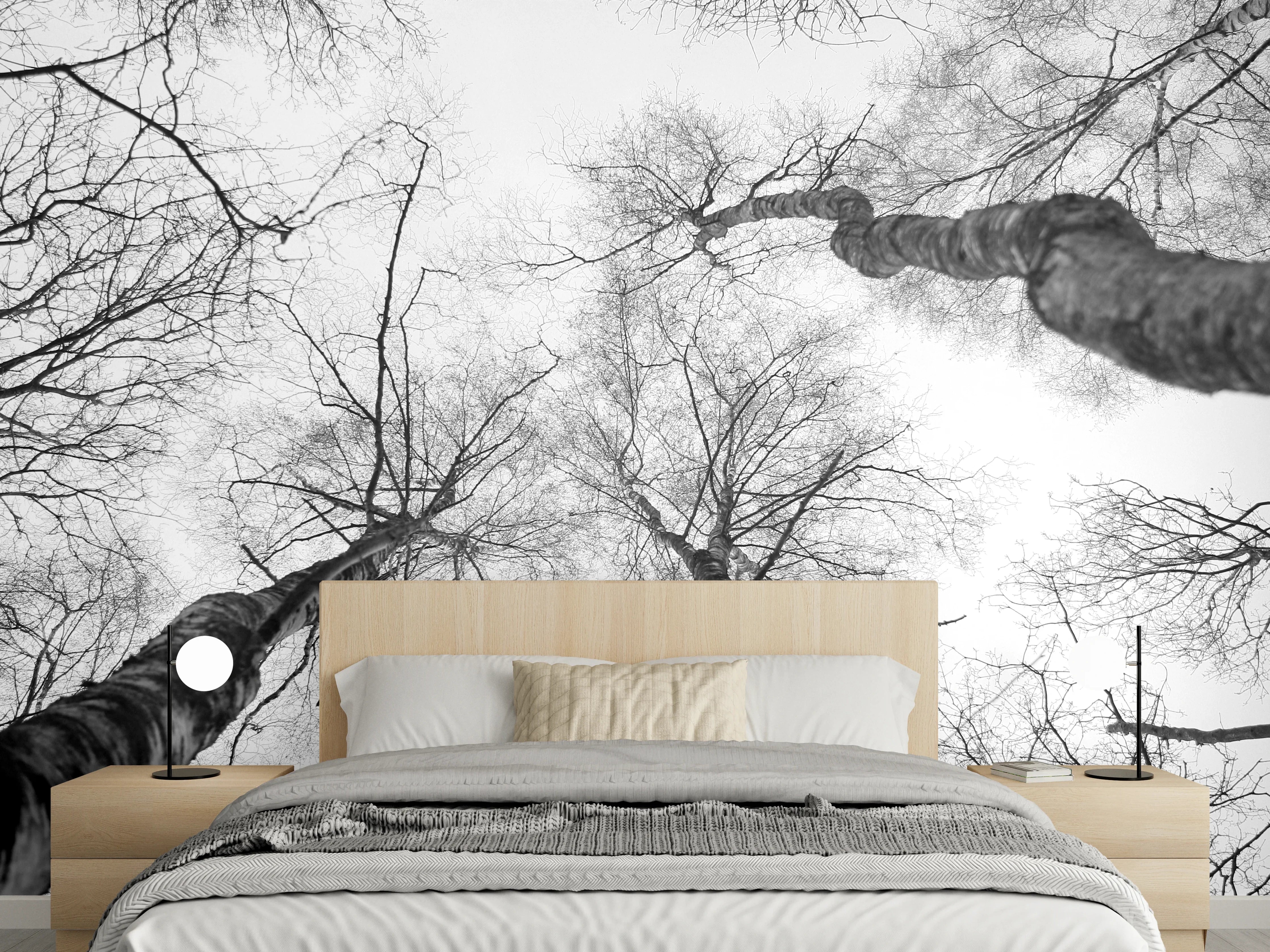 Wandverkleidung Schlafzimmer - Schwarz-weiße Baumkronen Fotografie