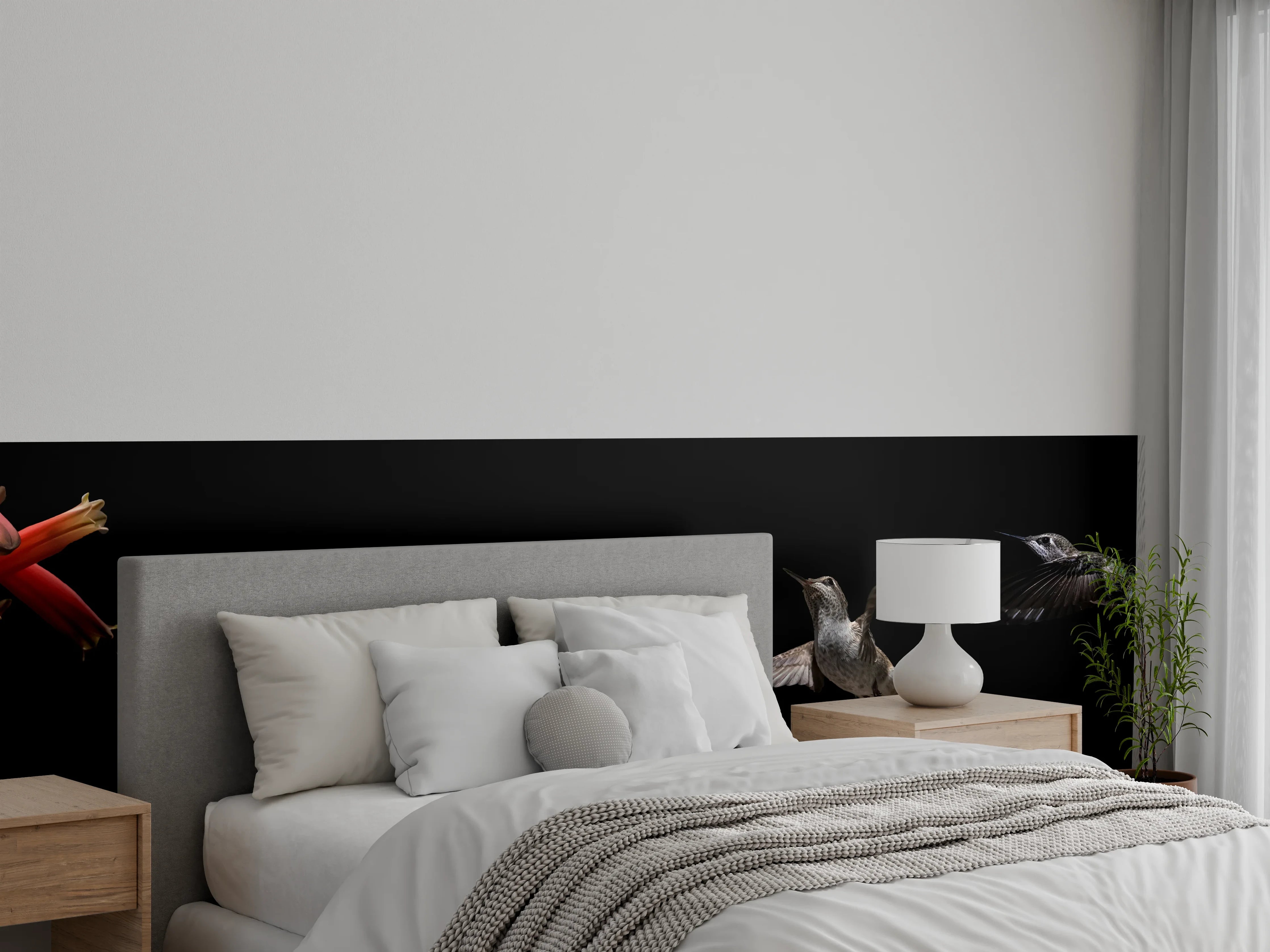 Wandverkleidung Schlafzimmer - Schwarzkinnkolibri Vogel mit Schwarzem Hintergrund