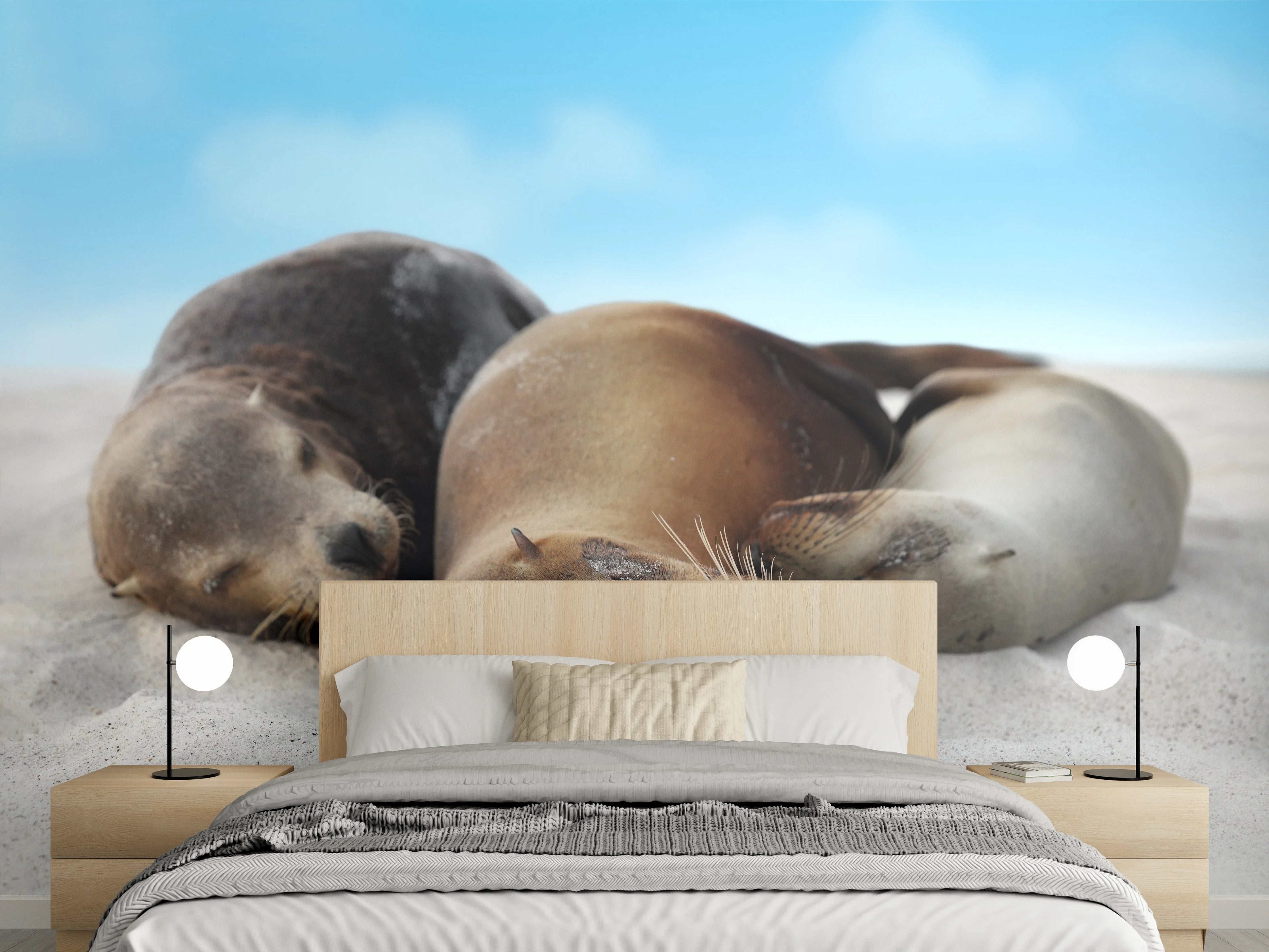 Wandverkleidung Schlafzimmer - Seelöwen im Sand liegend