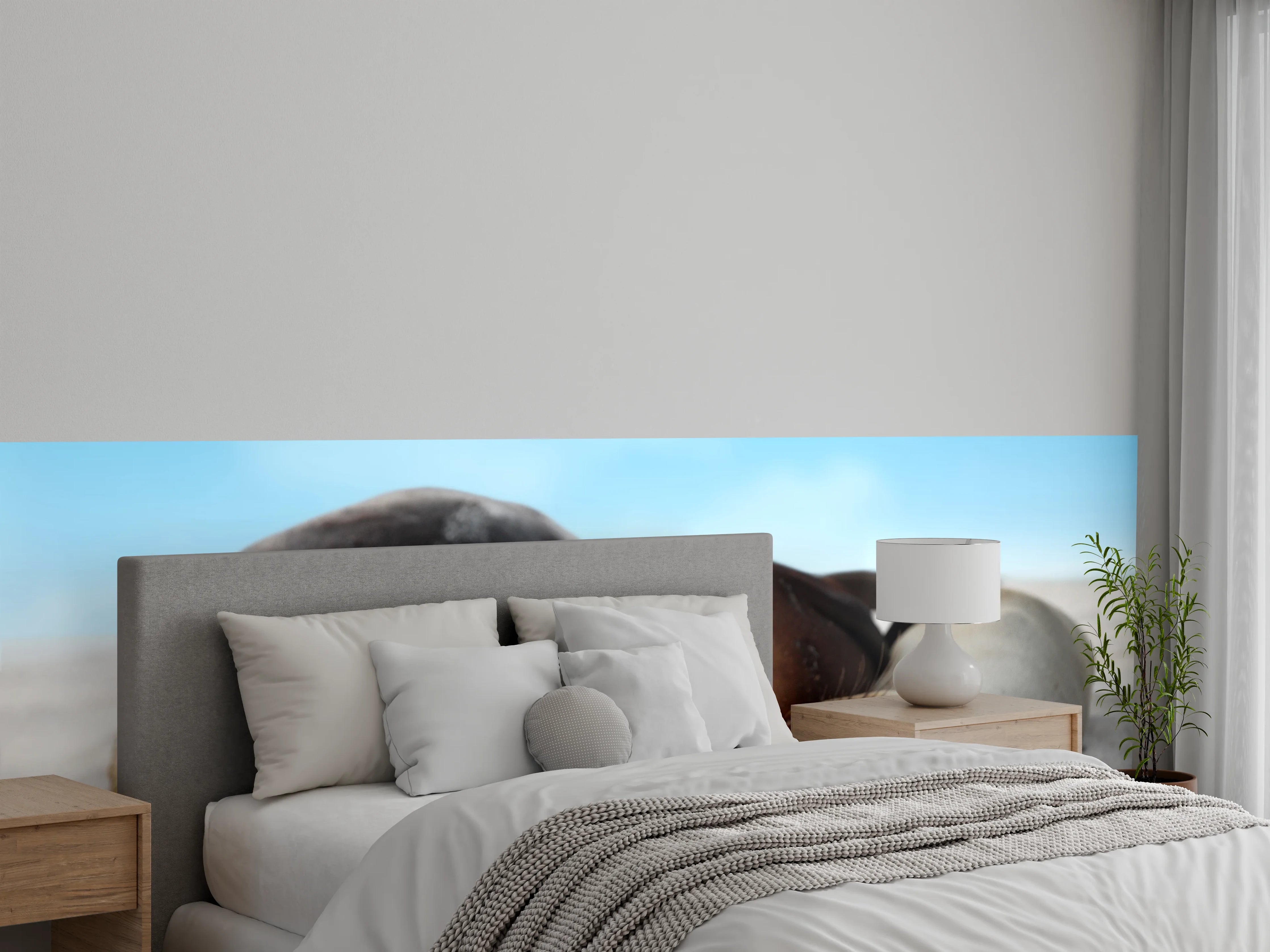 Wandverkleidung Schlafzimmer - Seelöwen im Sand liegend