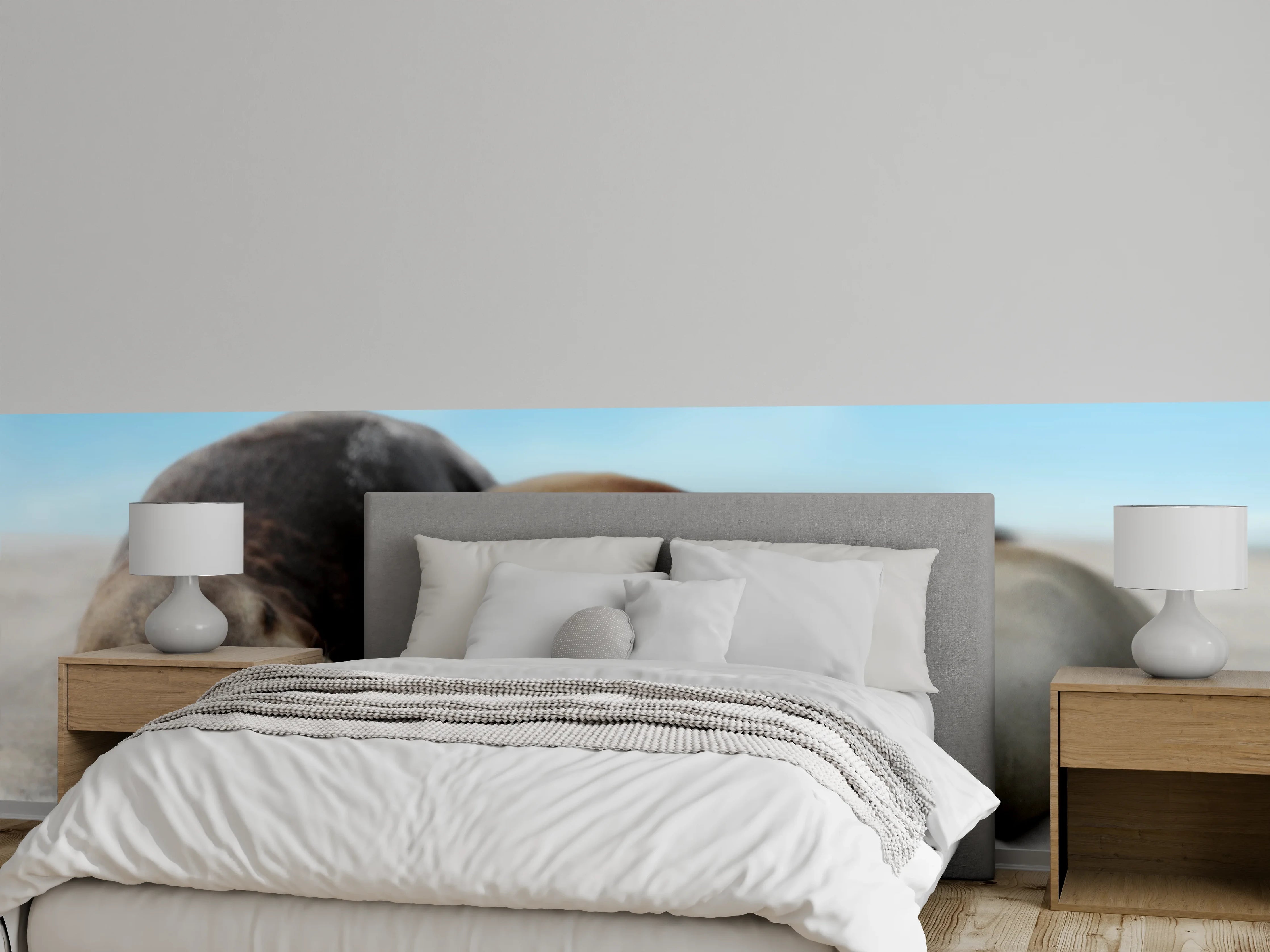 Wandverkleidung Schlafzimmer - Seelöwen im Sand liegend