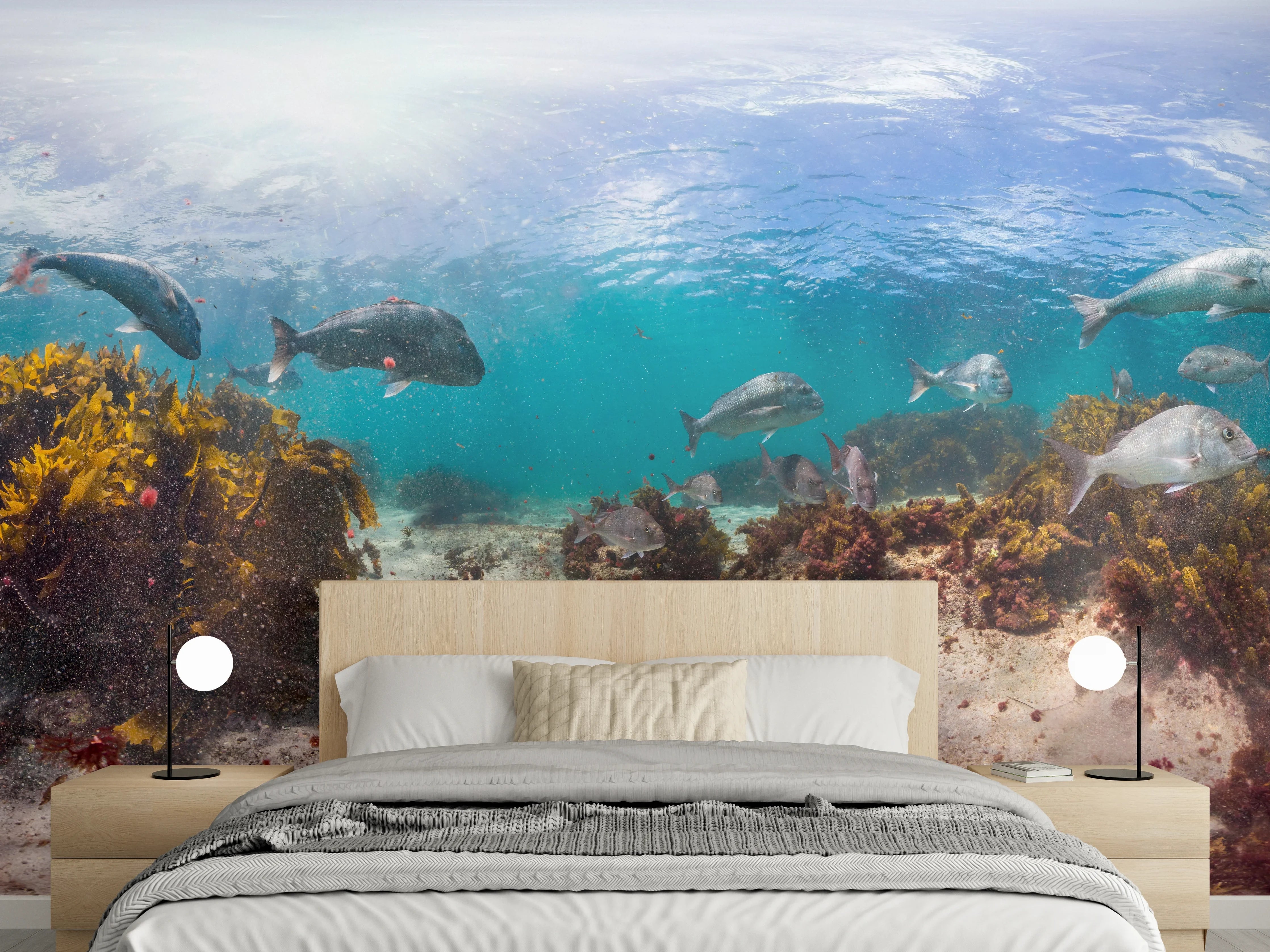 Wandverkleidung Schlafzimmer - Seetang und Fisch in Neuseeland