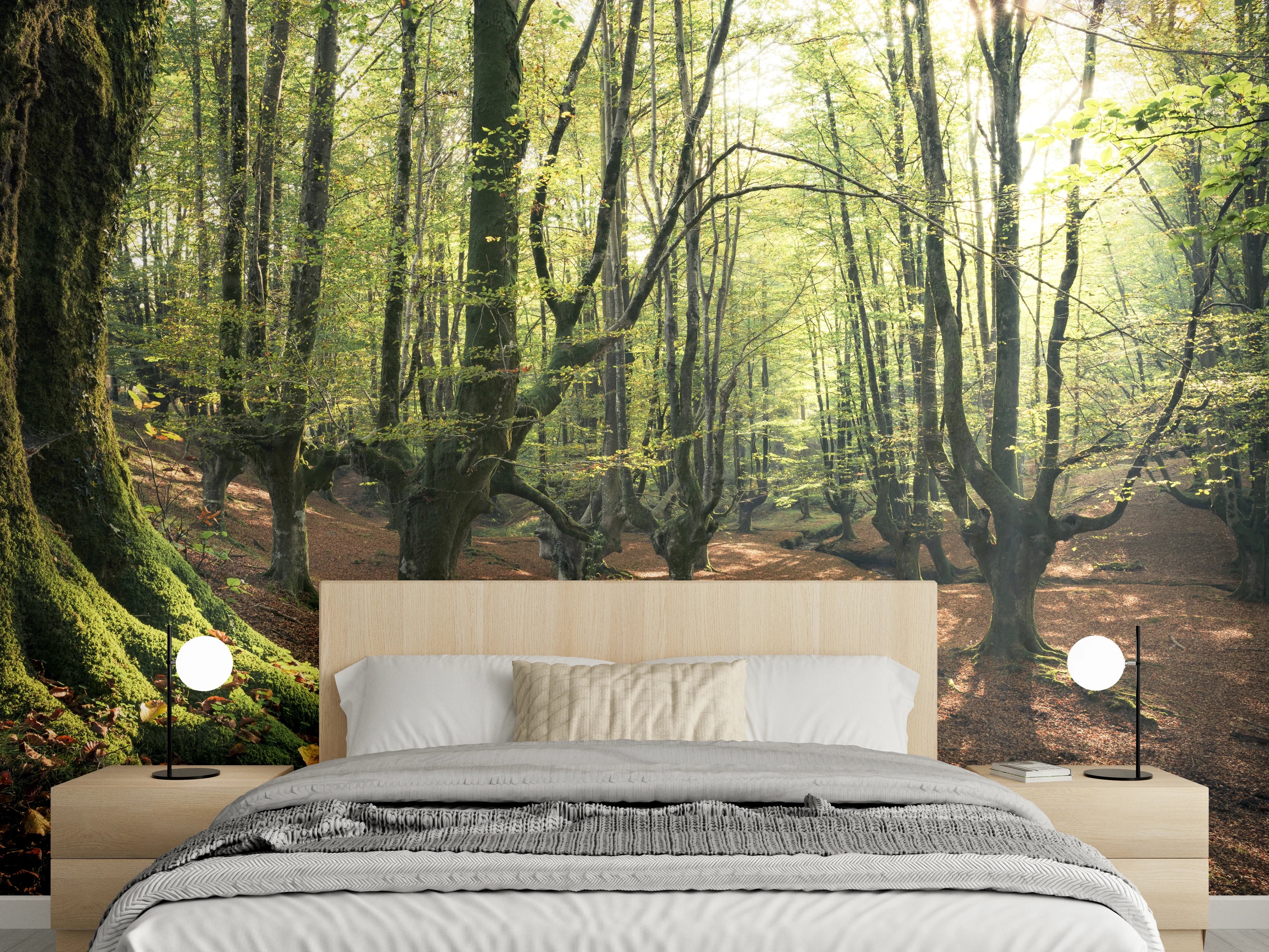 Wandverkleidung Schlafzimmer - Silberne Lichtschleier im Nebelwald