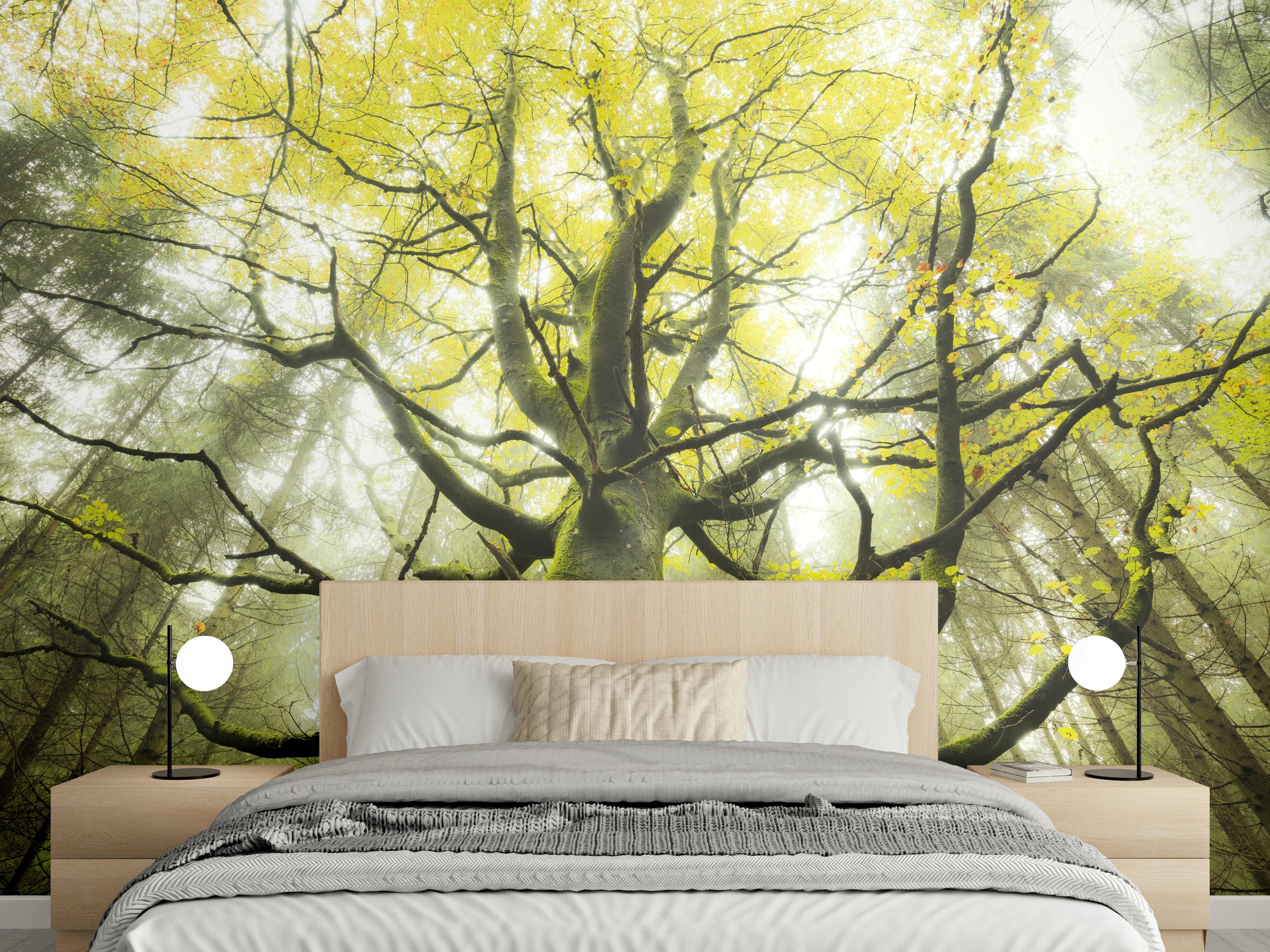 Wandverkleidung Schlafzimmer - Silberne Schatten im lichten Forst