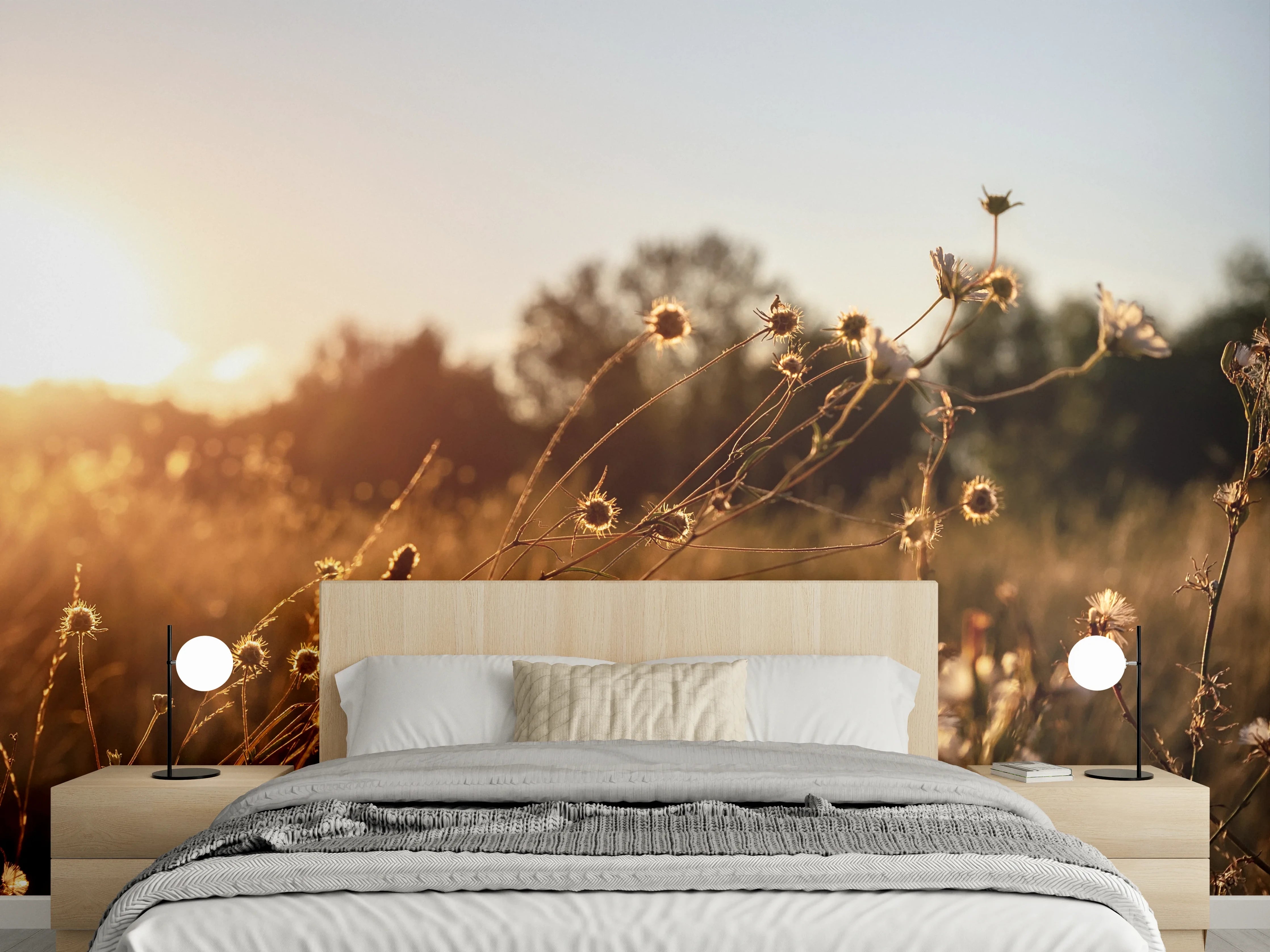 Wandverkleidung Schlafzimmer - Sommerlicher Sonnenaufgang über Wildwiese
