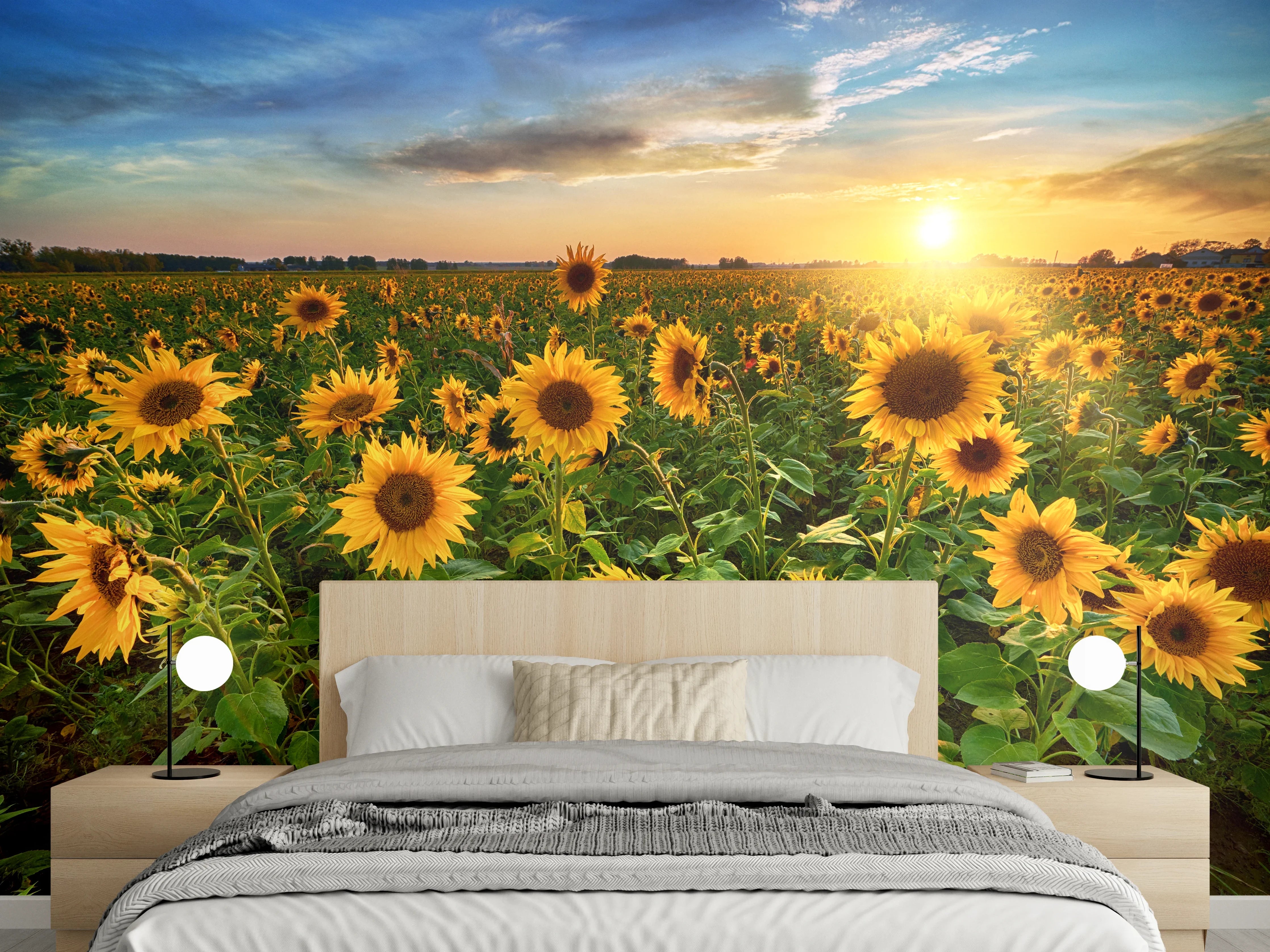 Wandverkleidung Schlafzimmer - Sonnenblumenfeld bei Sonnenuntergang Fotomotiv