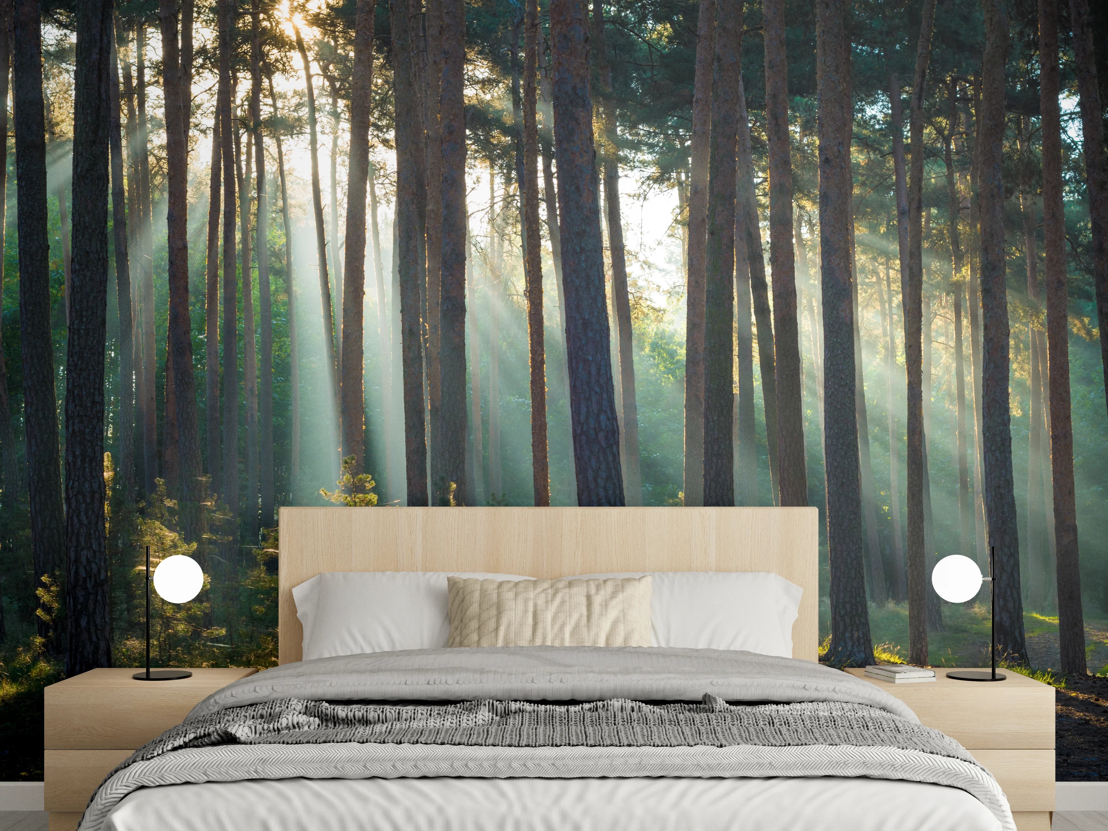 Wandverkleidung Schlafzimmer - Sonnenlicht durch Wald