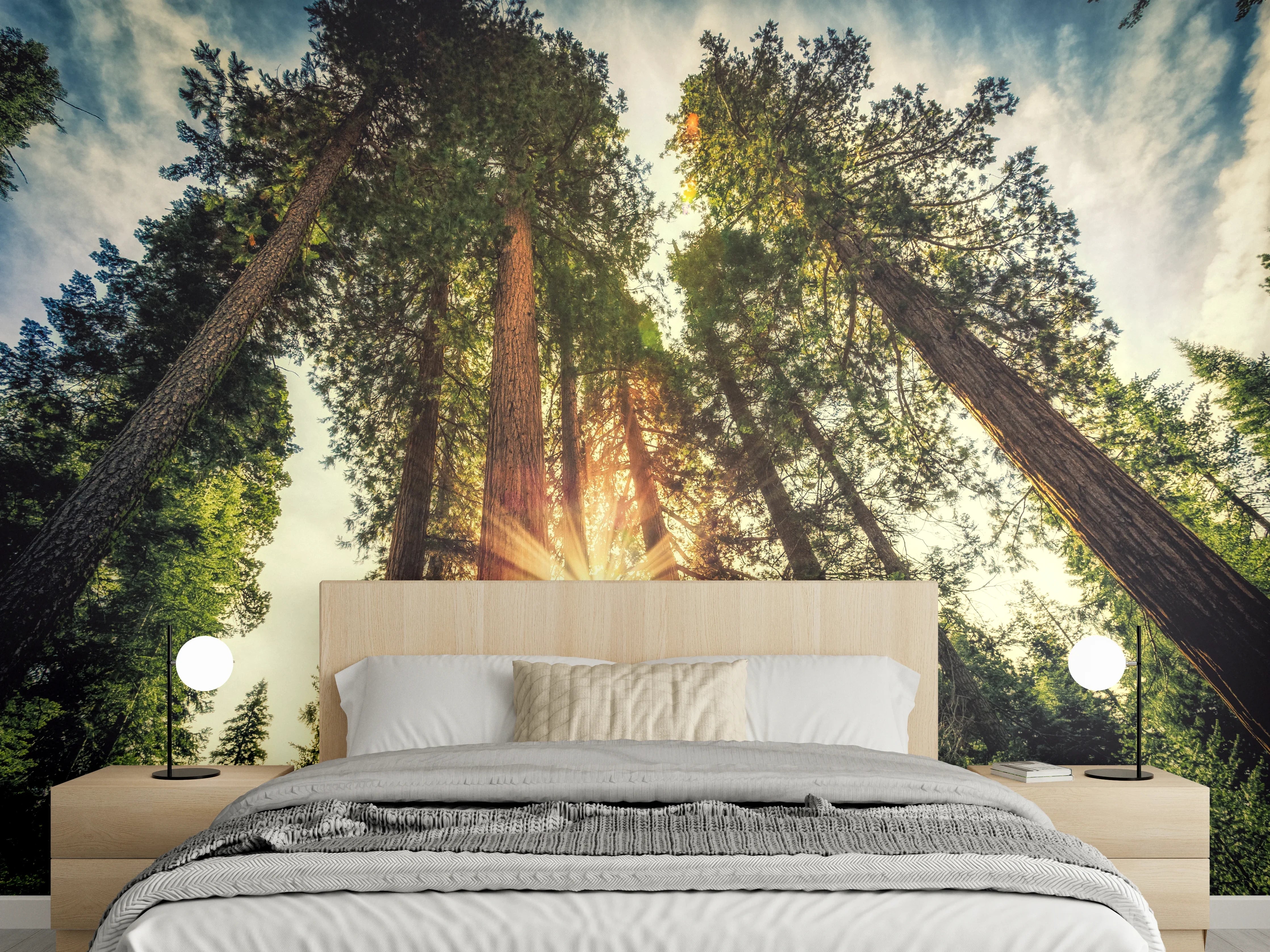 Wandverkleidung Schlafzimmer - Sonnenstrahlen im majestätischen Wald