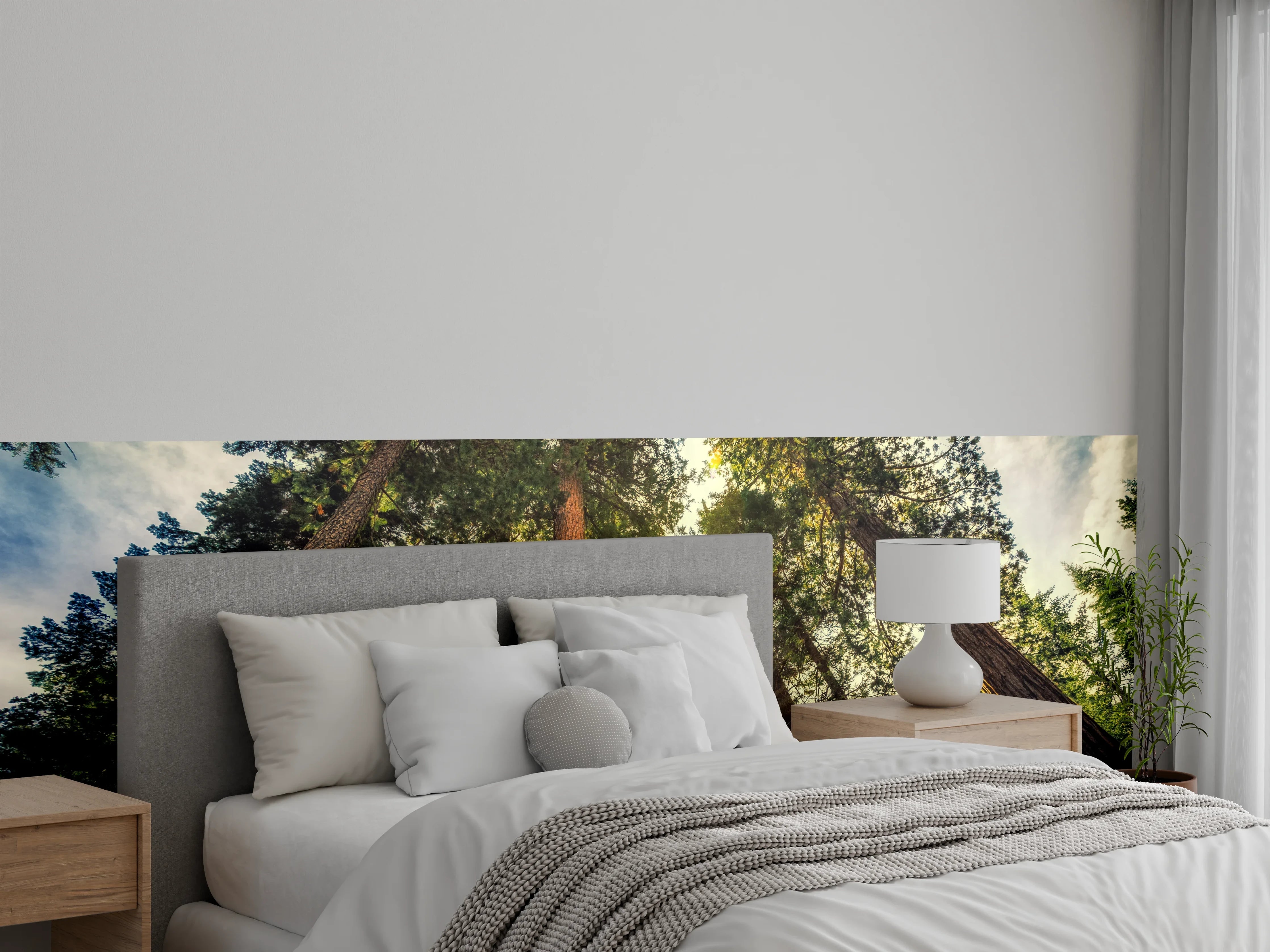 Wandverkleidung Schlafzimmer - Sonnenstrahlen im majestätischen Wald