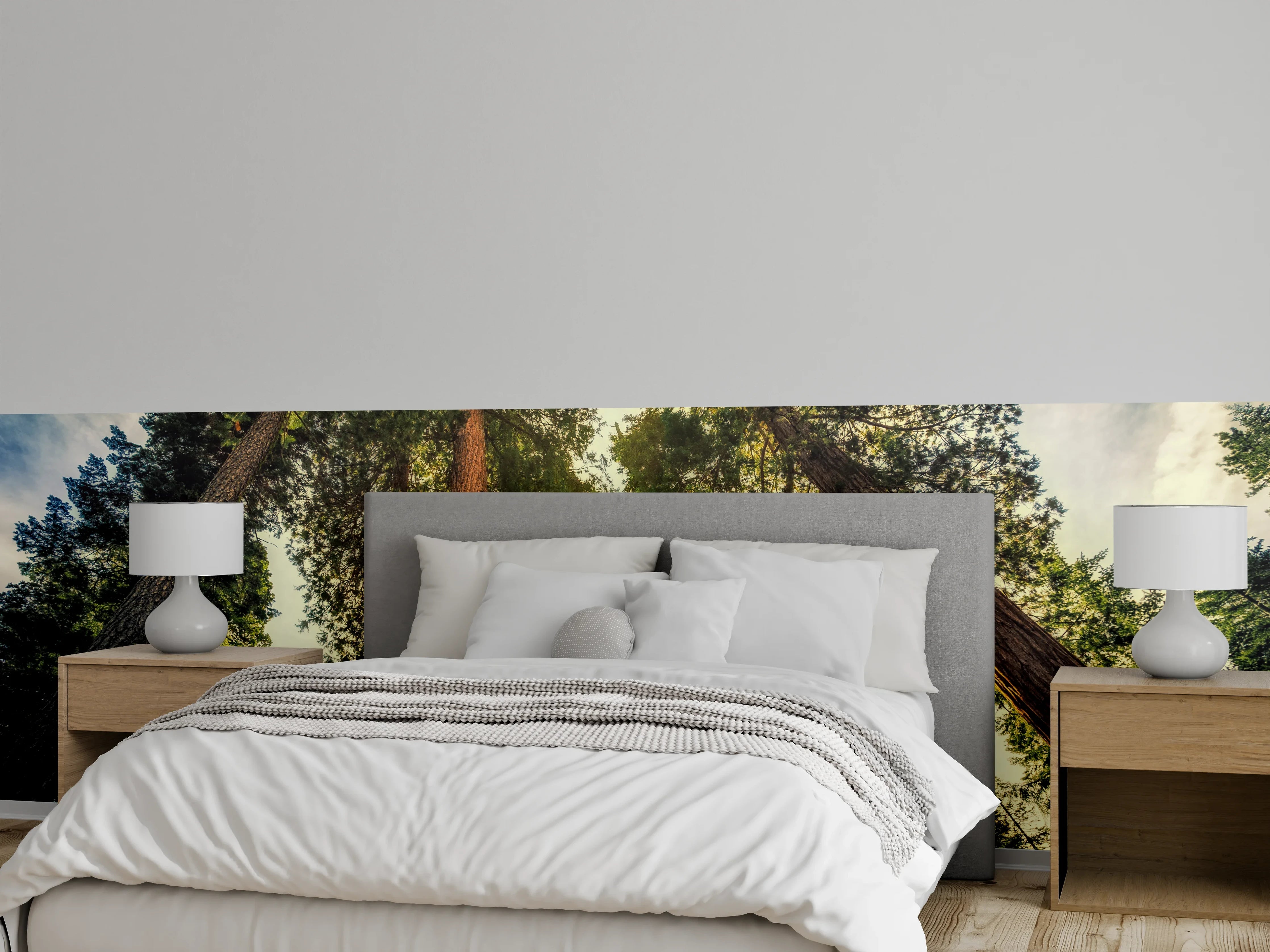 Wandverkleidung Schlafzimmer - Sonnenstrahlen im majestätischen Wald