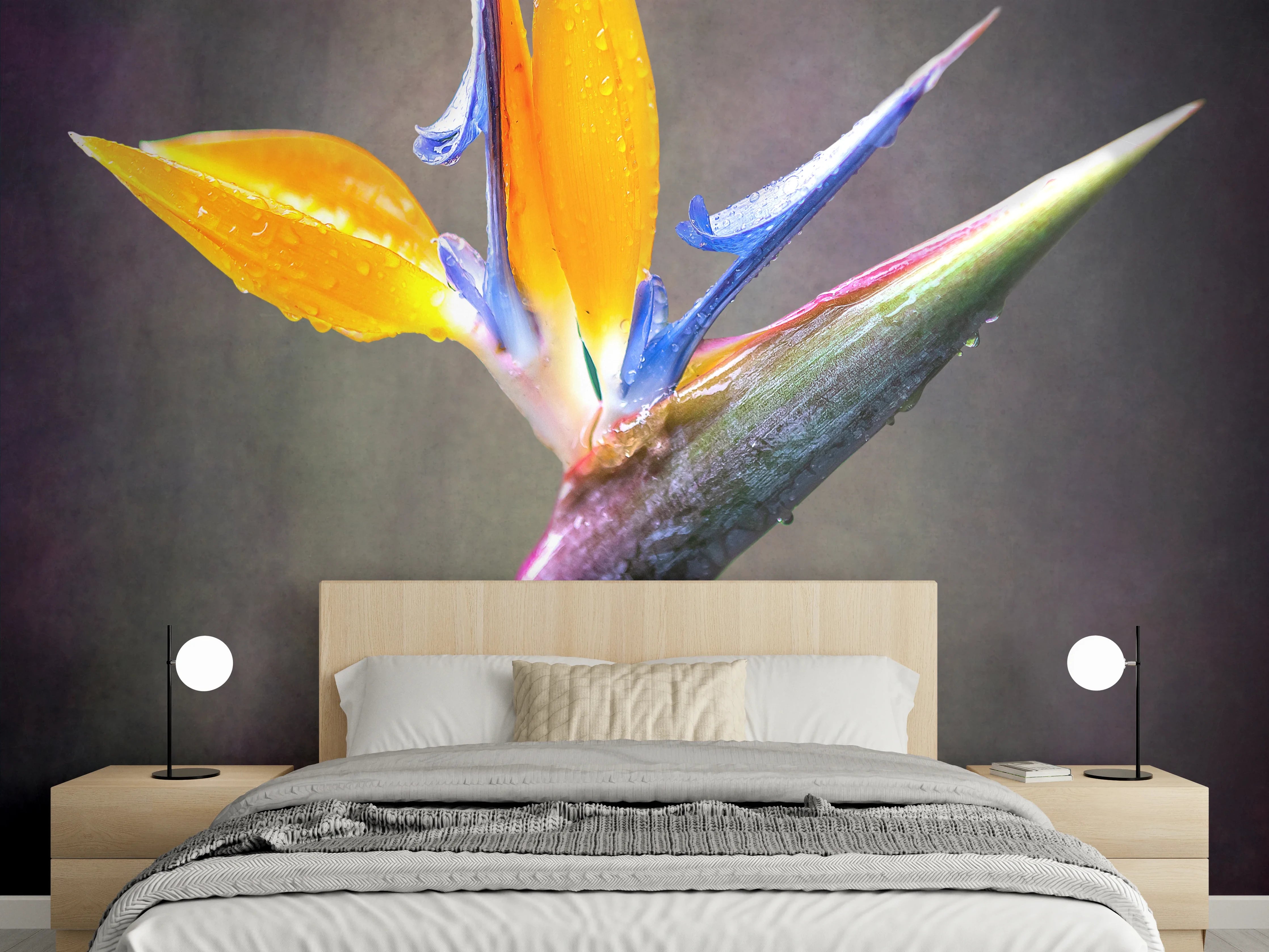 Wandverkleidung Schlafzimmer - Strelitzie Blume Nahaufnahme Kunstfoto
