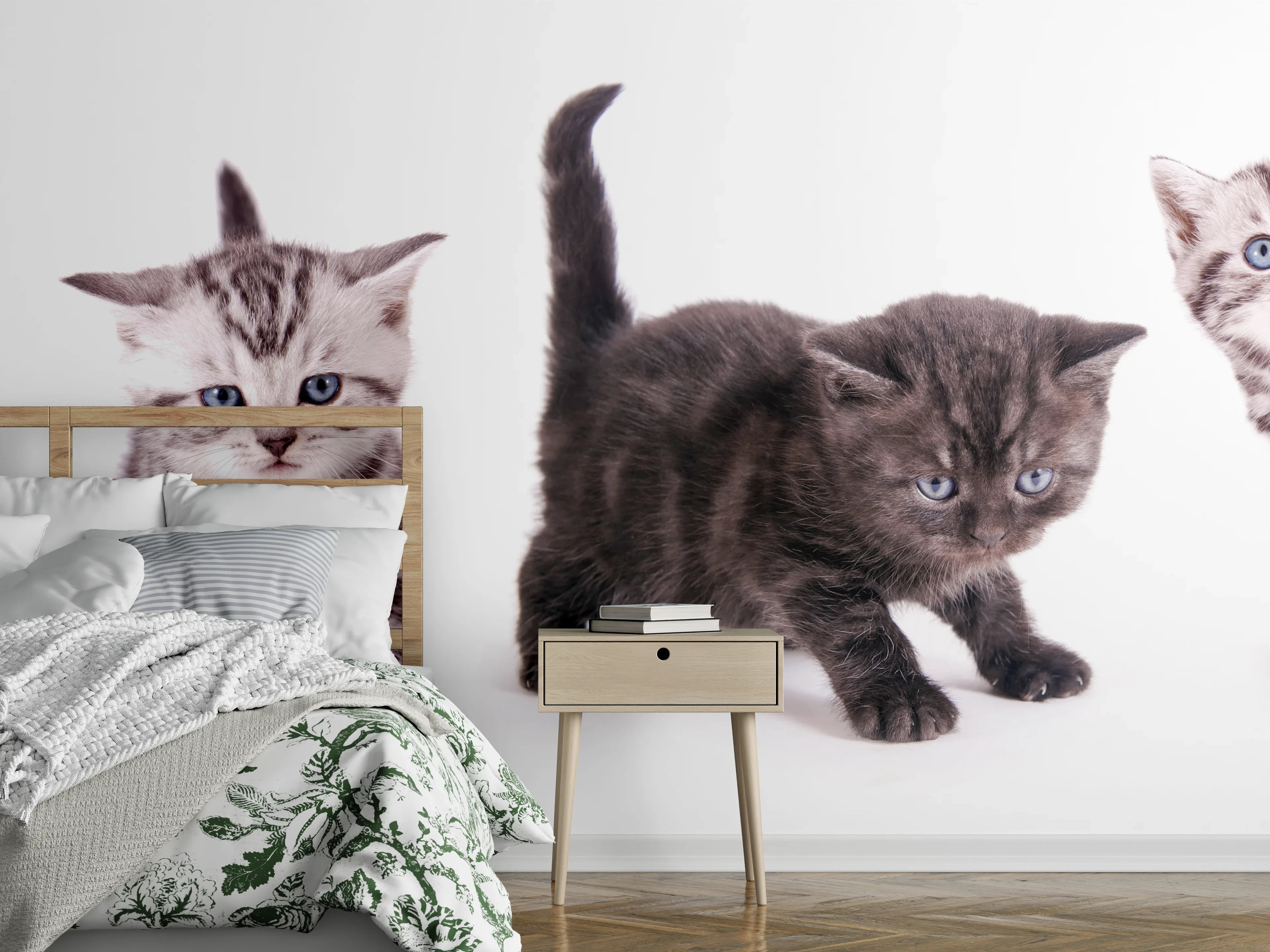 Wandverkleidung Schlafzimmer - Süße Britisch Kurzhaar Kätzchen