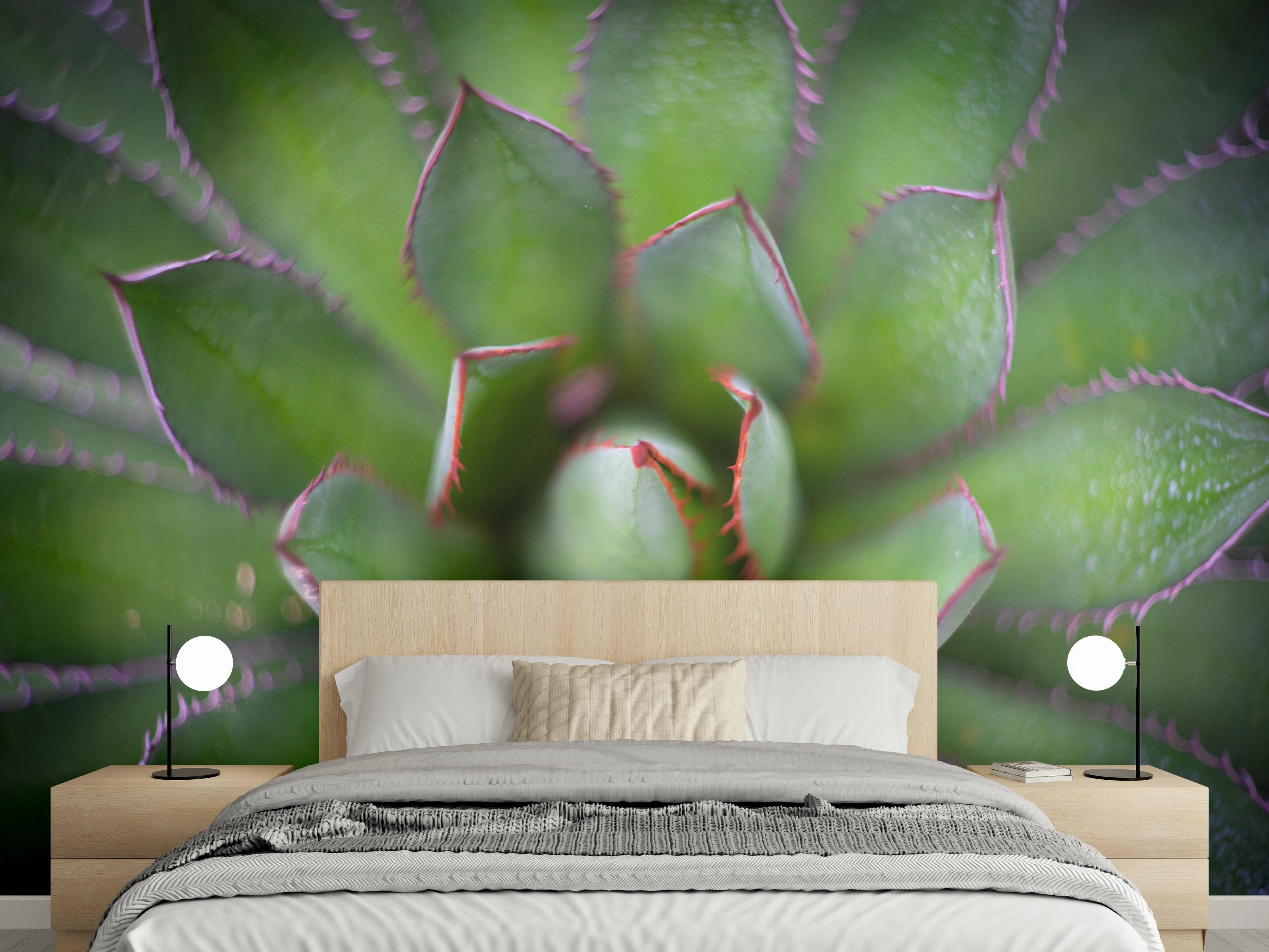 Wandverkleidung Schlafzimmer - Sukkulente Makro Grün Abstrakt