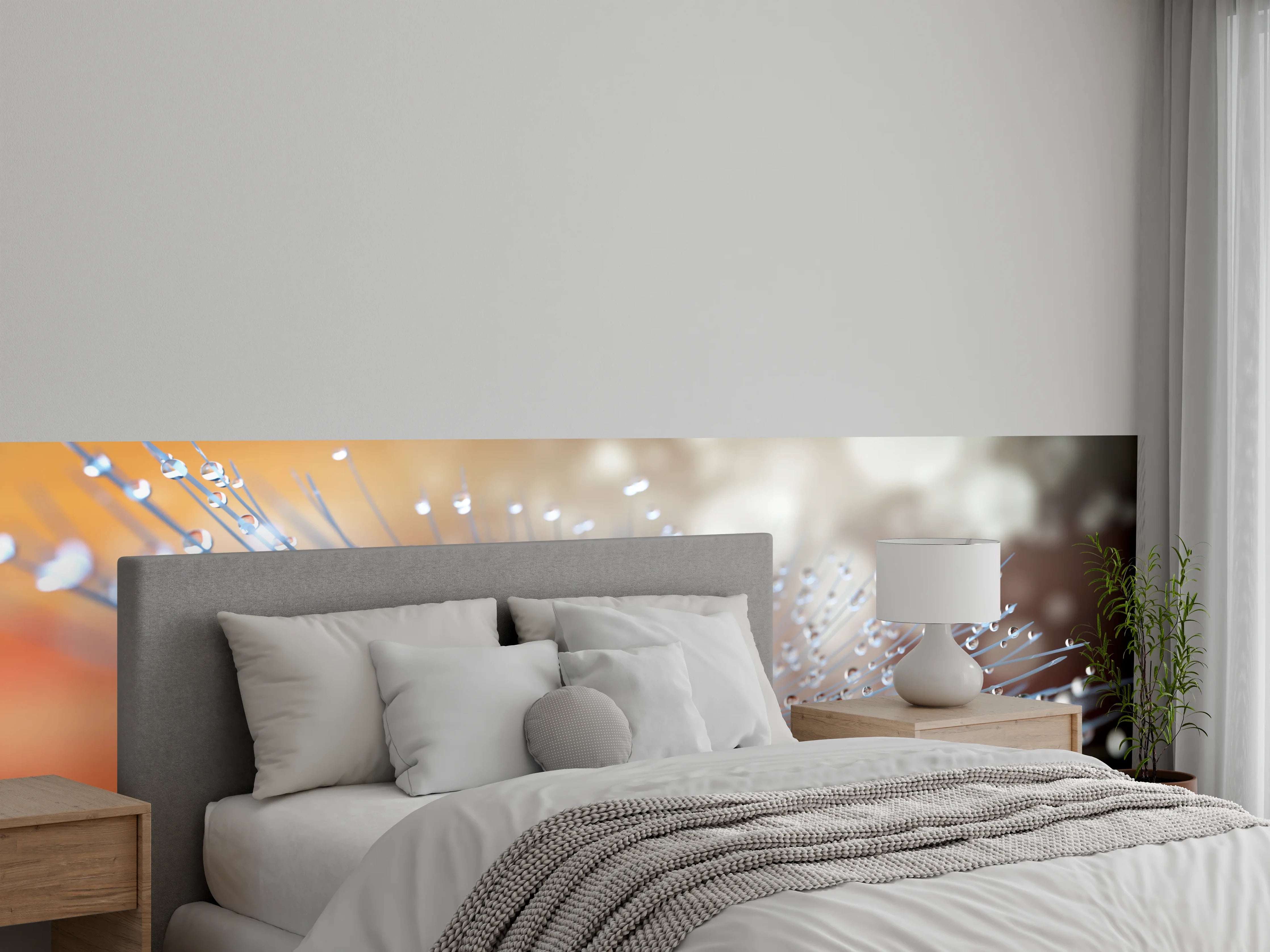 Wandverkleidung Schlafzimmer - Tautropfenschimmer auf grauer Pusteblume