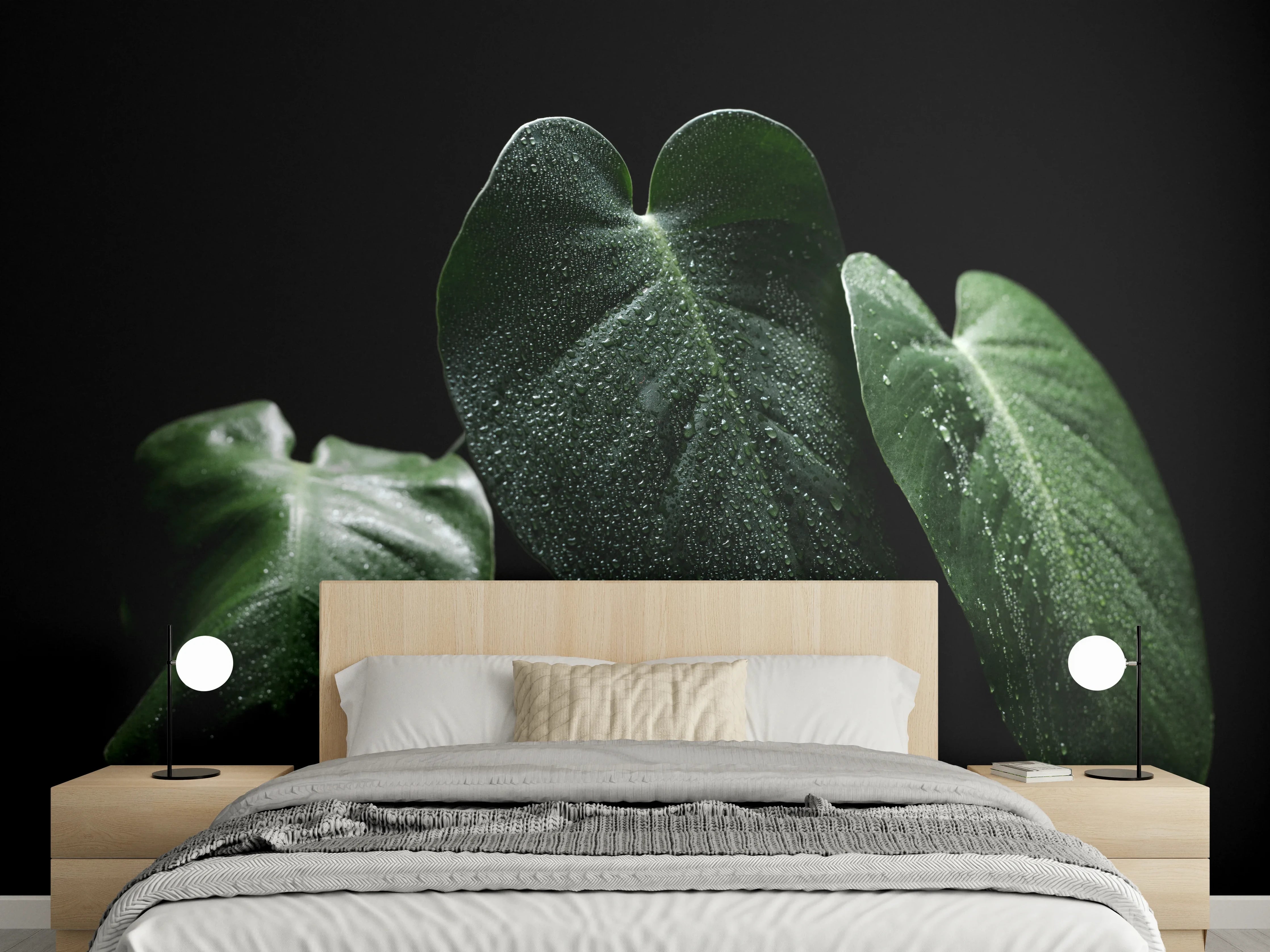 Wandverkleidung Schlafzimmer - Tropische Blätter mit Tautropfen Nahaufnahme