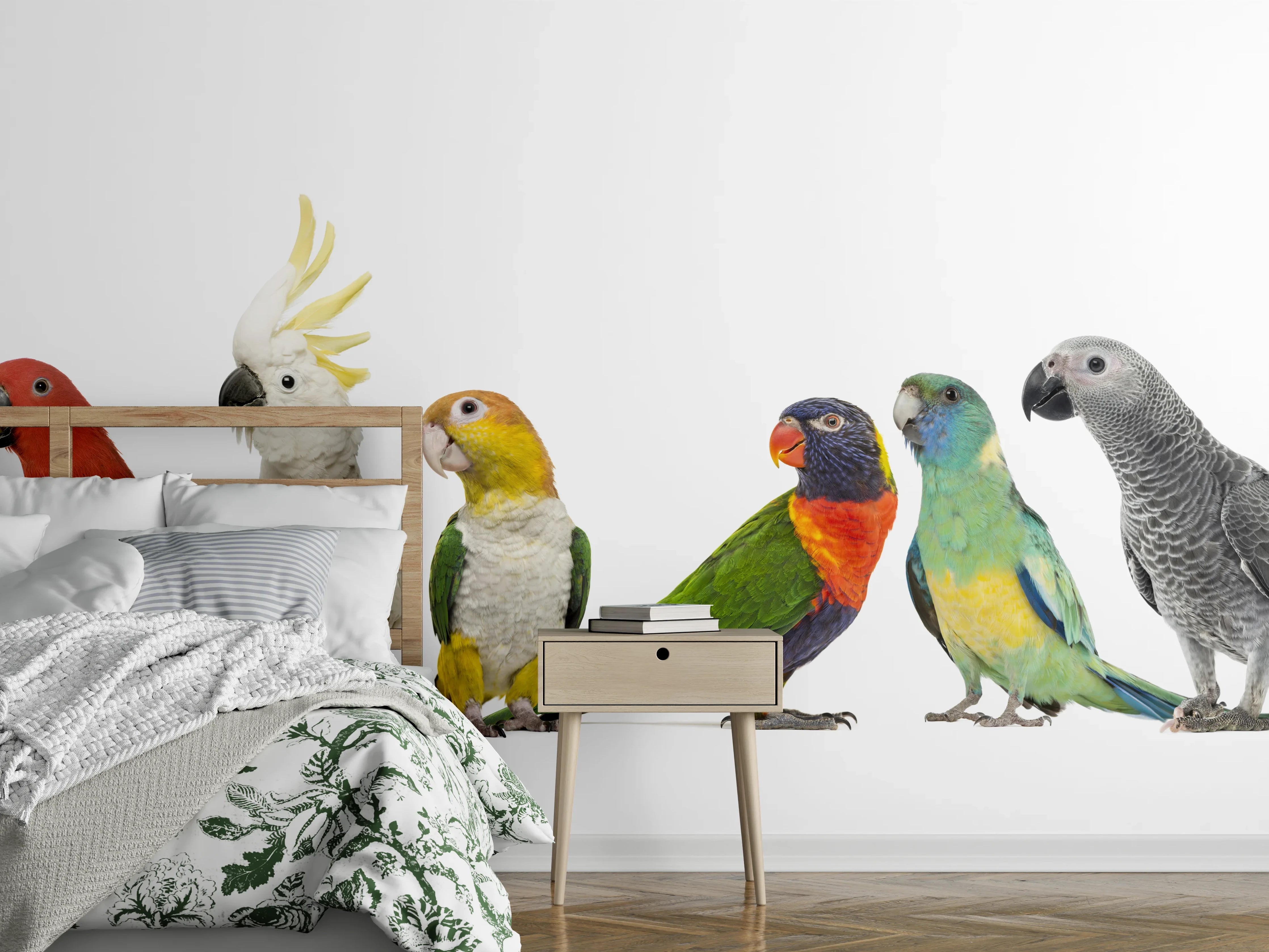 Wandverkleidung Schlafzimmer - Tropische Papageien - Exotisch