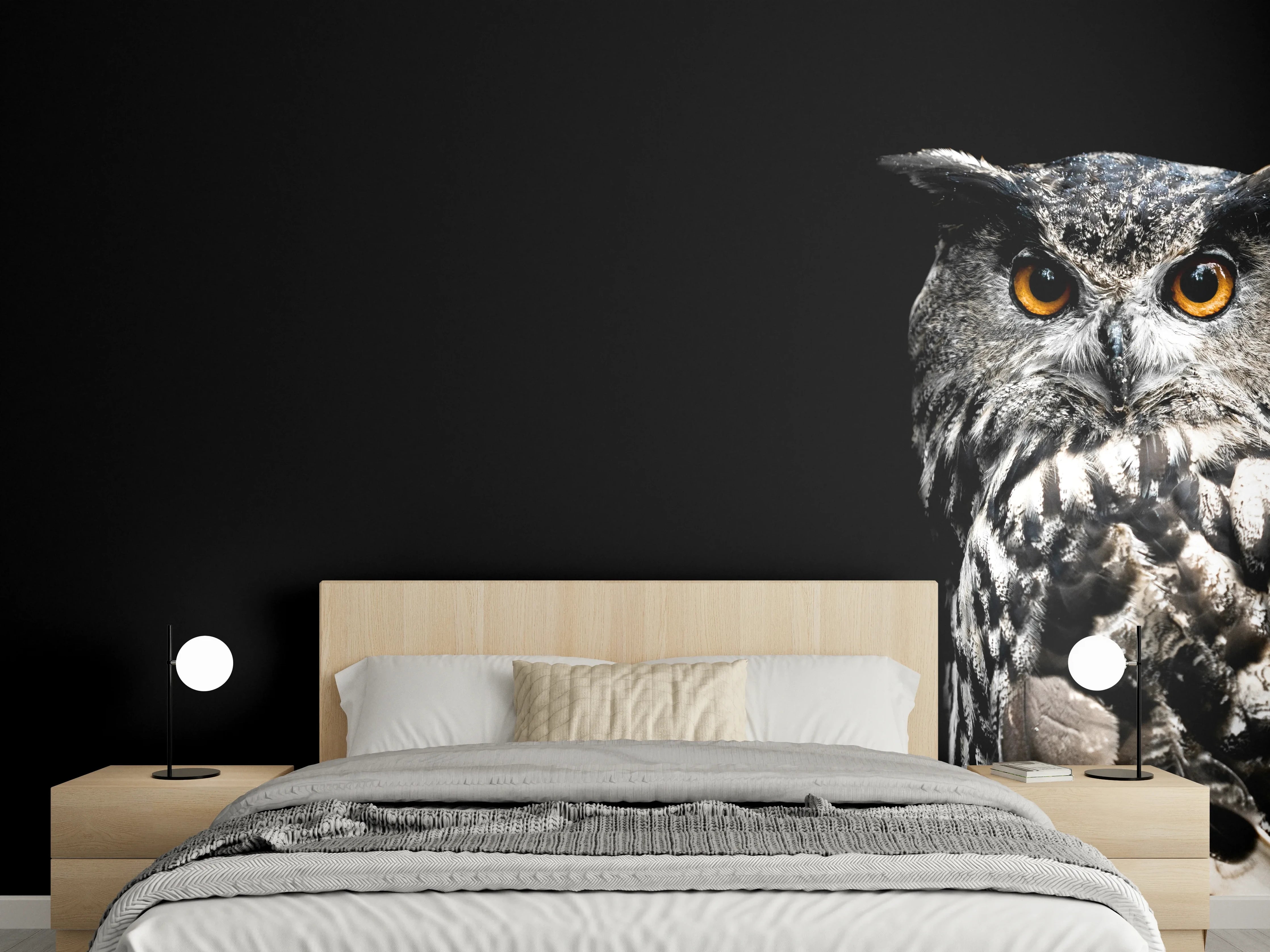 Wandverkleidung Schlafzimmer - Uhu auf schwarzem Hintergrund