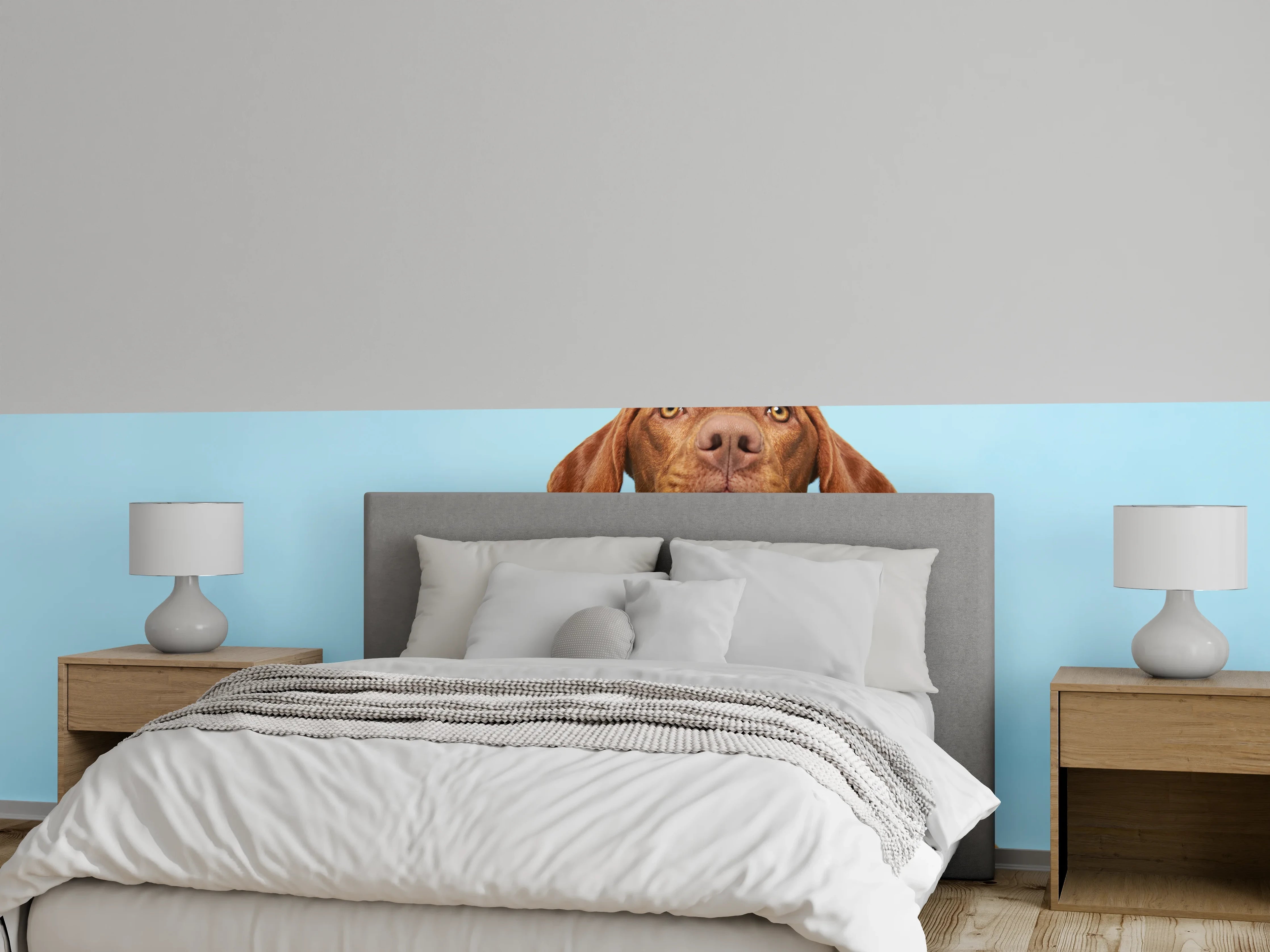Wandverkleidung Schlafzimmer - Ungarischer Vizsla-Welpe Portrait