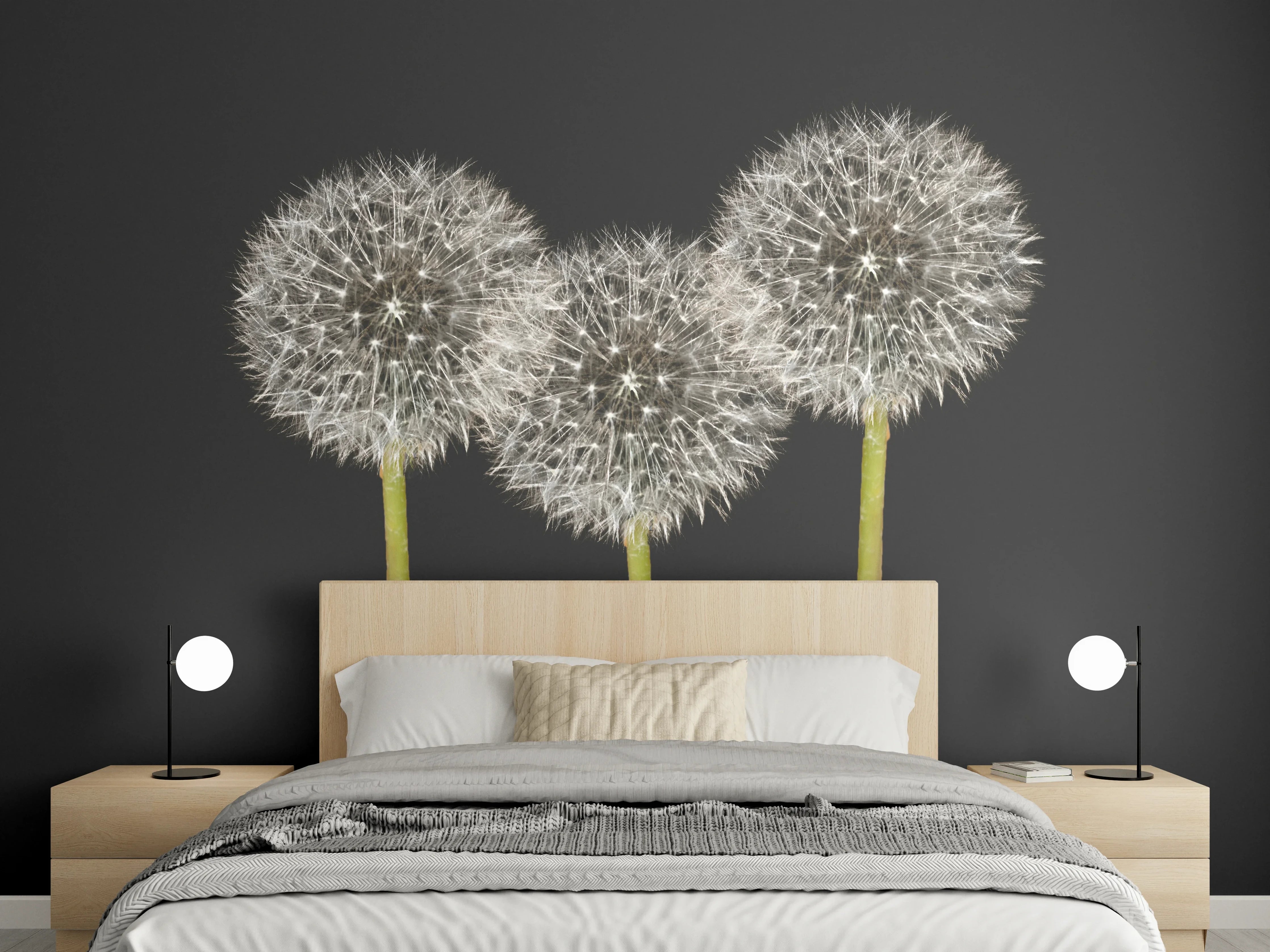 Wandverkleidung Schlafzimmer - Weiße Pusteblumen auf Schwarz